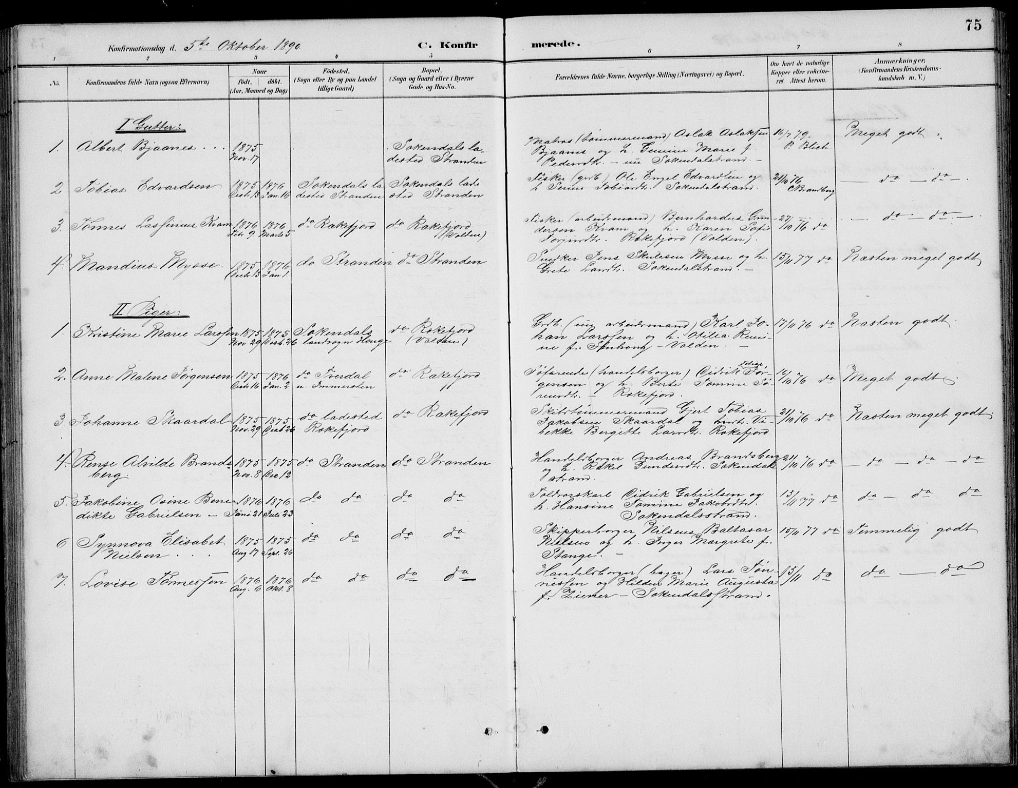 Sokndal sokneprestkontor, SAST/A-101808: Parish register (copy) no. B 5, 1887-1934, p. 75
