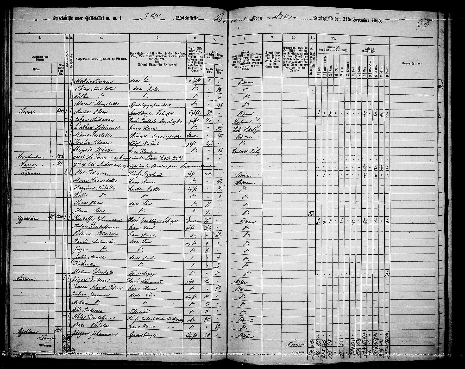 RA, 1865 census for Asker, 1865, p. 233