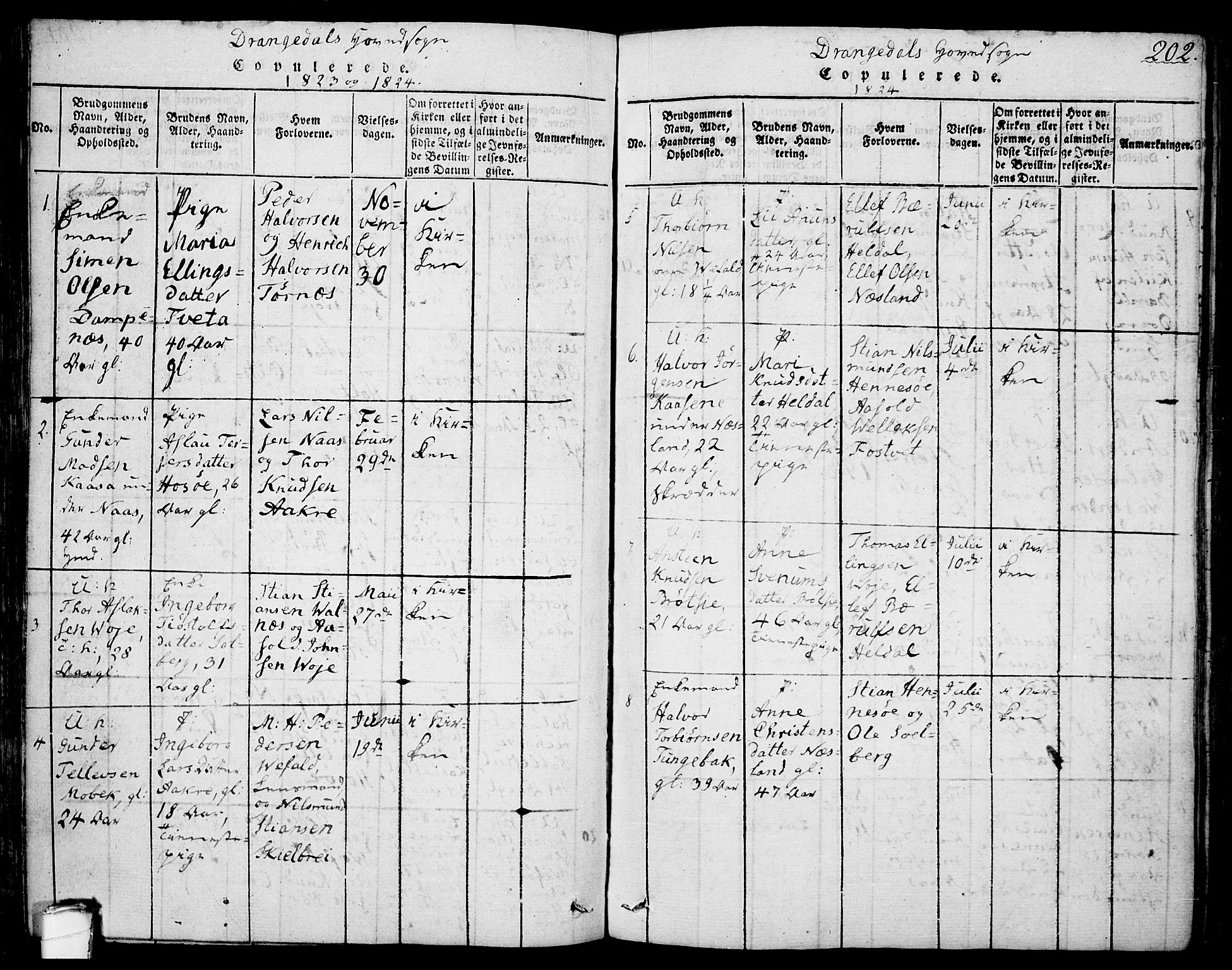Drangedal kirkebøker, SAKO/A-258/F/Fa/L0005: Parish register (official) no. 5 /1, 1814-1831, p. 202