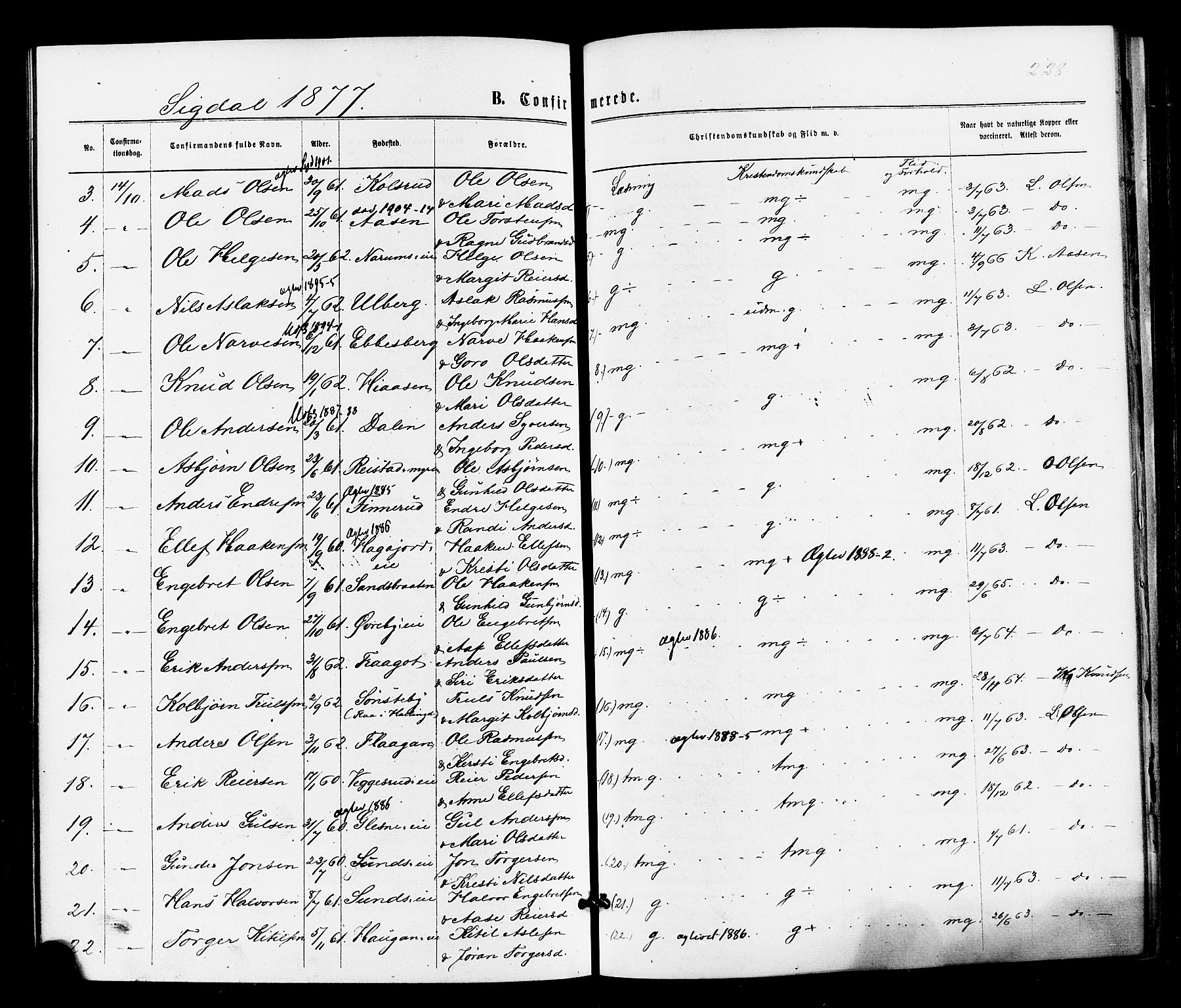 Sigdal kirkebøker, SAKO/A-245/F/Fa/L0010: Parish register (official) no. I 10 /1, 1872-1878, p. 228