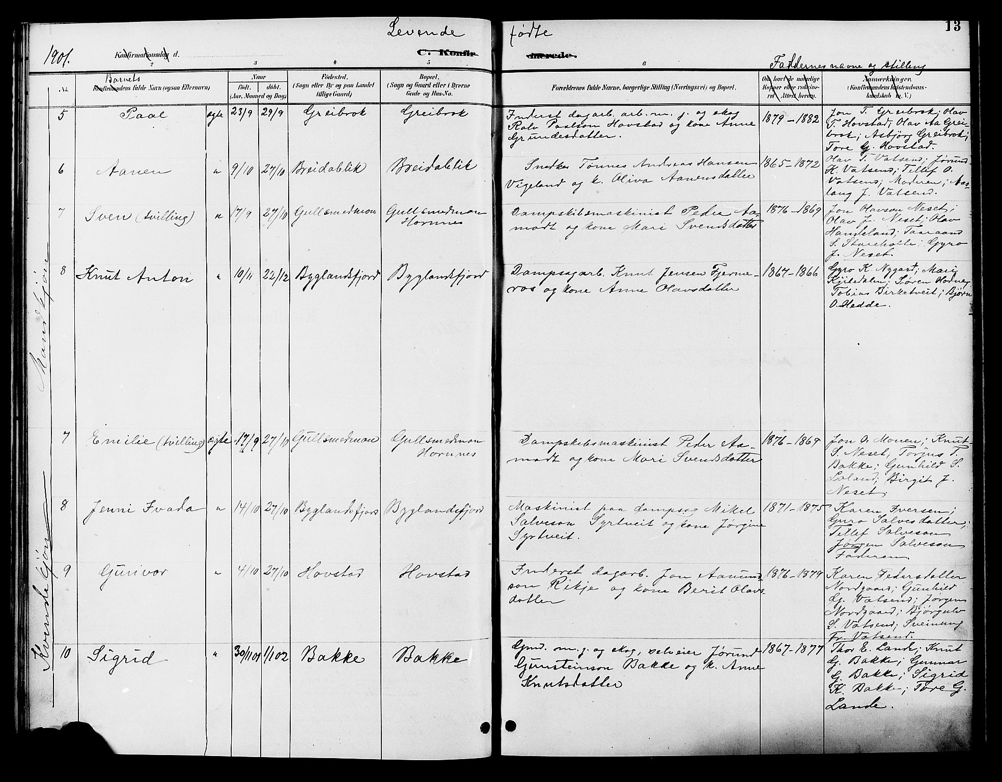 Bygland sokneprestkontor, AV/SAK-1111-0006/F/Fb/Fbd/L0002: Parish register (copy) no. B 2, 1894-1909, p. 13