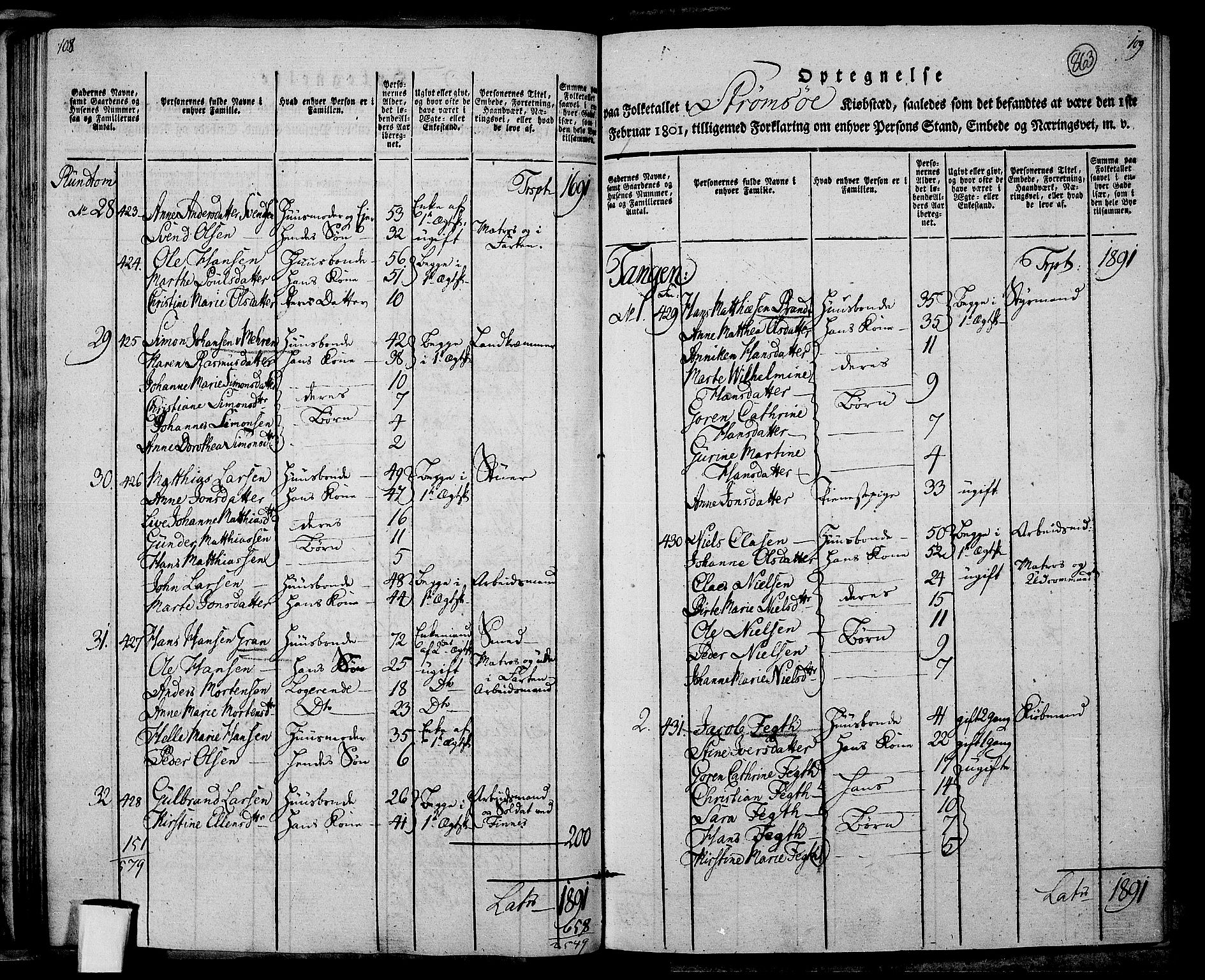 RA, 1801 census for 0602P Bragernes, 1801, p. 862b-863a