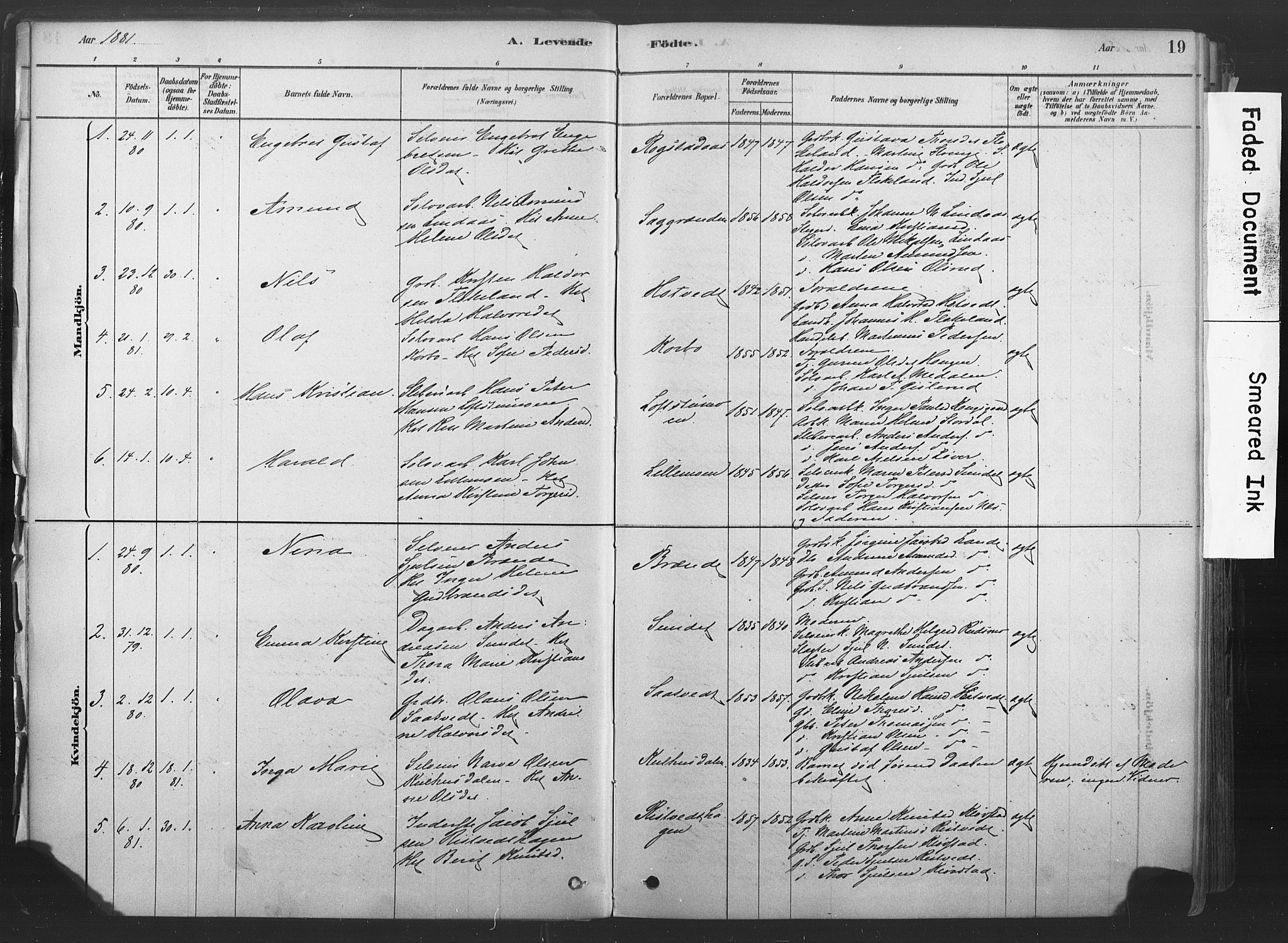 Sandsvær kirkebøker, SAKO/A-244/F/Fd/L0001: Parish register (official) no. IV 1, 1878-1906, p. 19