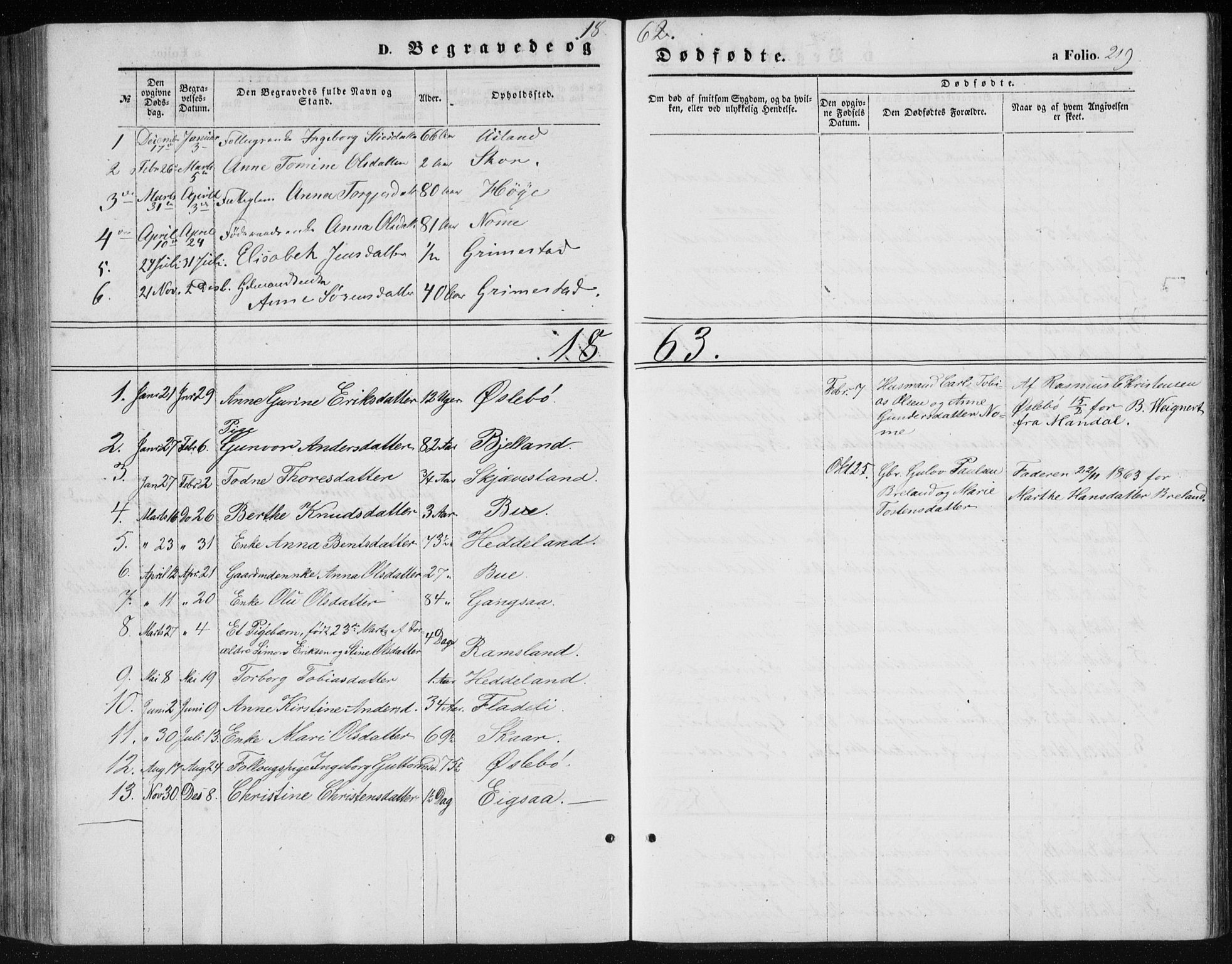 Holum sokneprestkontor, SAK/1111-0022/F/Fb/Fbc/L0002: Parish register (copy) no. B 2, 1860-1882, p. 219