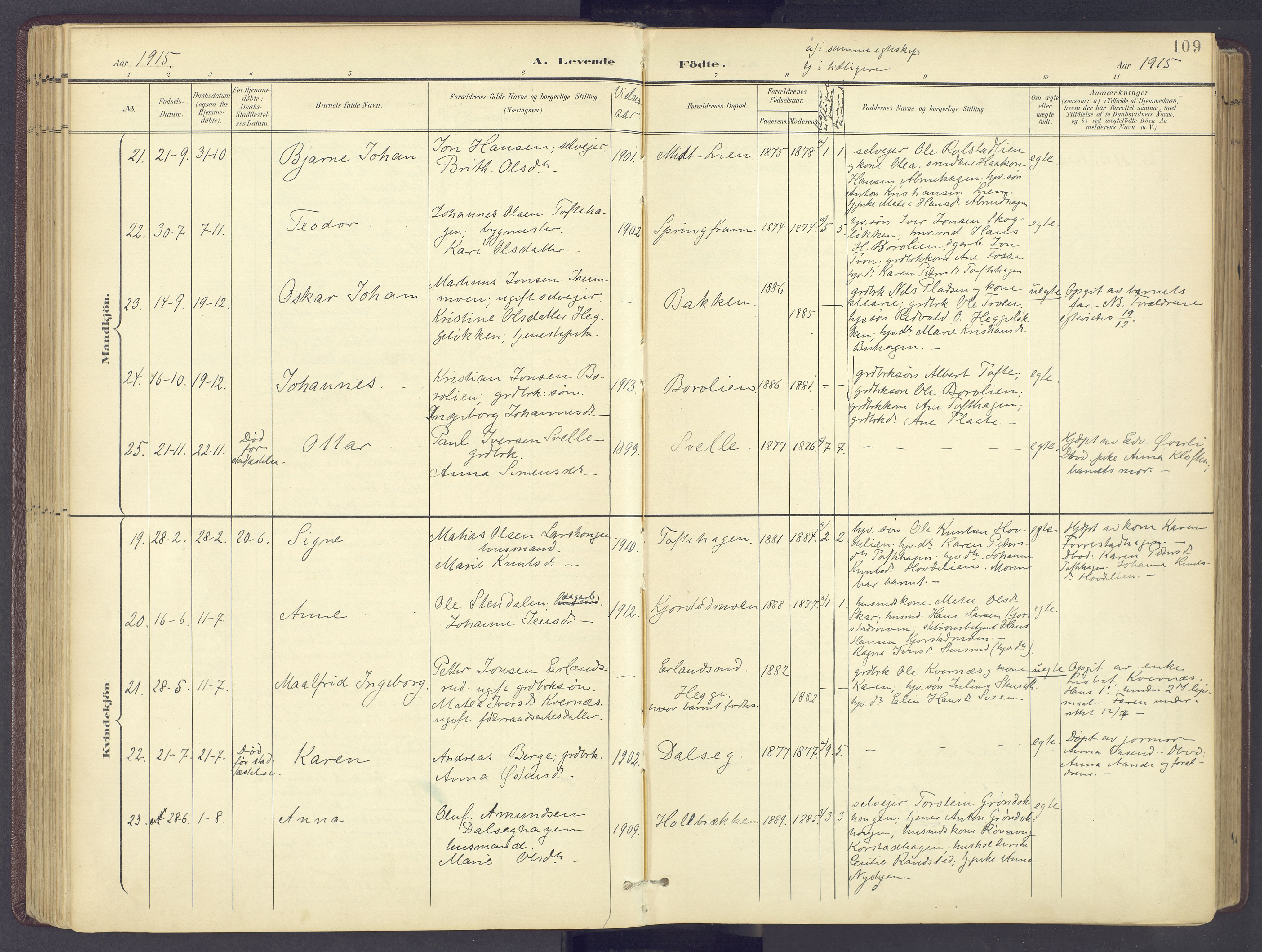 Sør-Fron prestekontor, AV/SAH-PREST-010/H/Ha/Haa/L0004: Parish register (official) no. 4, 1898-1919, p. 109