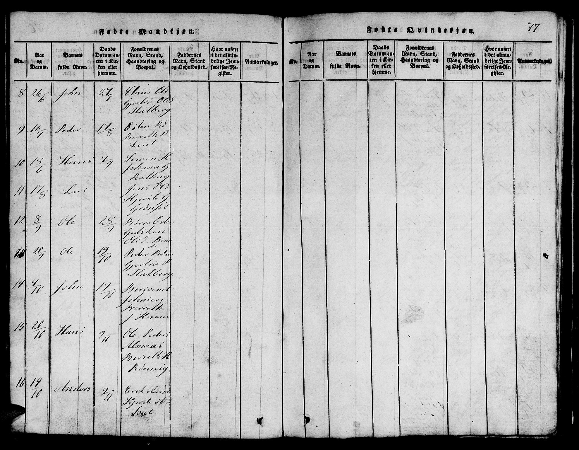 Ministerialprotokoller, klokkerbøker og fødselsregistre - Sør-Trøndelag, AV/SAT-A-1456/685/L0976: Parish register (copy) no. 685C01, 1817-1878, p. 77