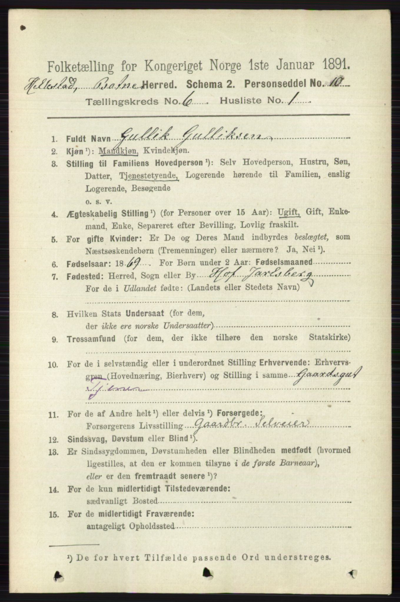 RA, 1891 census for 0715 Botne, 1891, p. 2299