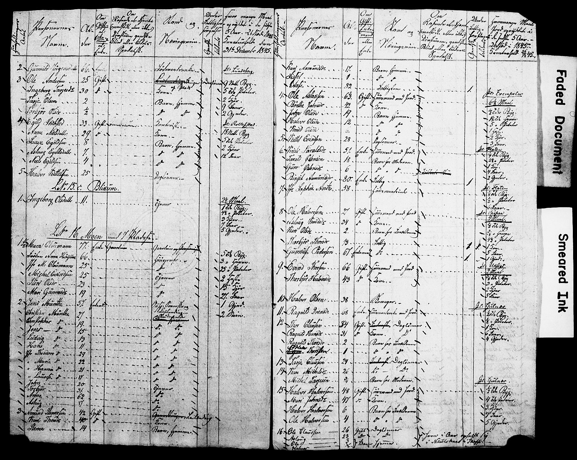 , Census 1845 for Kviteseid, 1845, p. 19