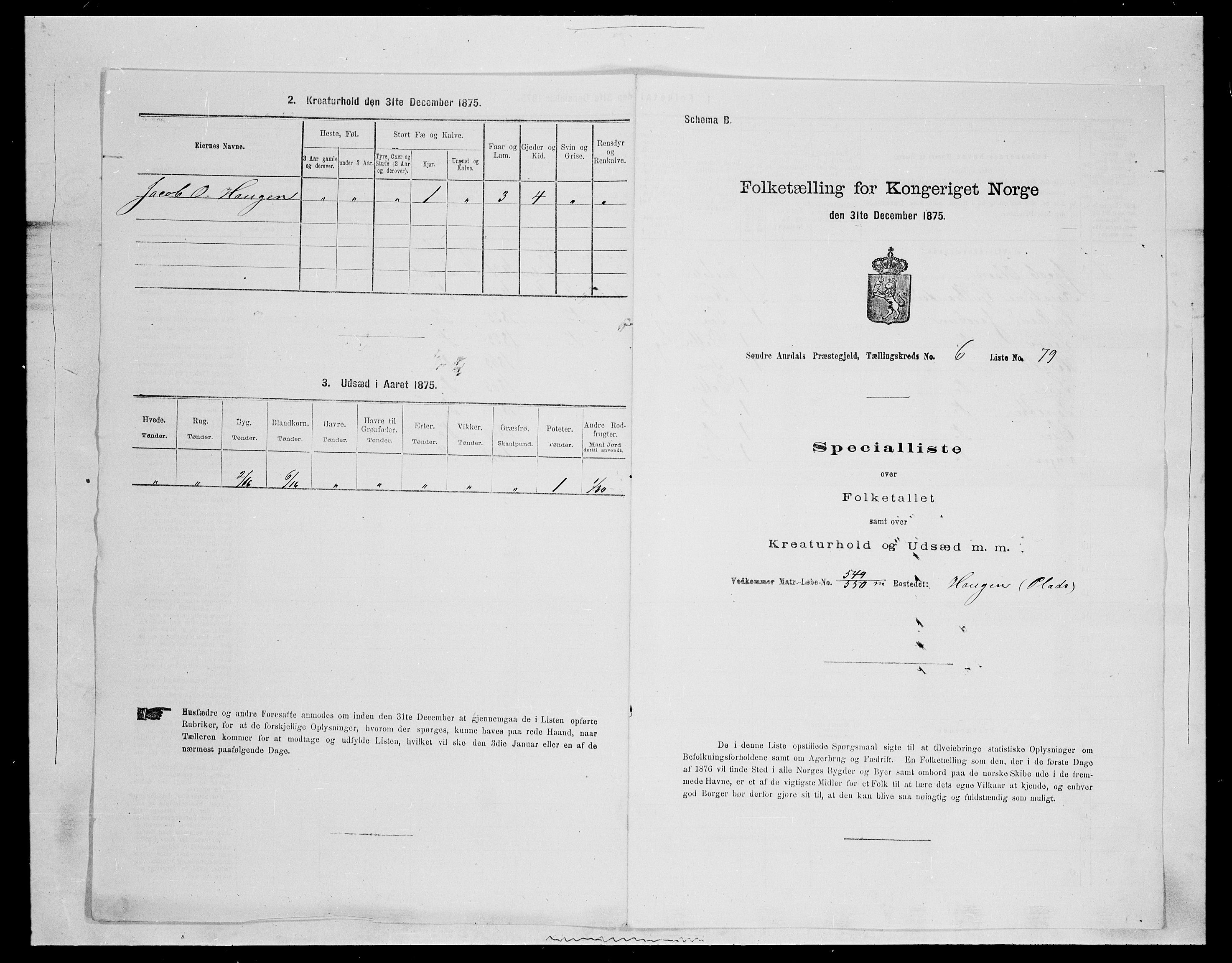 SAH, 1875 census for 0540P Sør-Aurdal, 1875, p. 1145