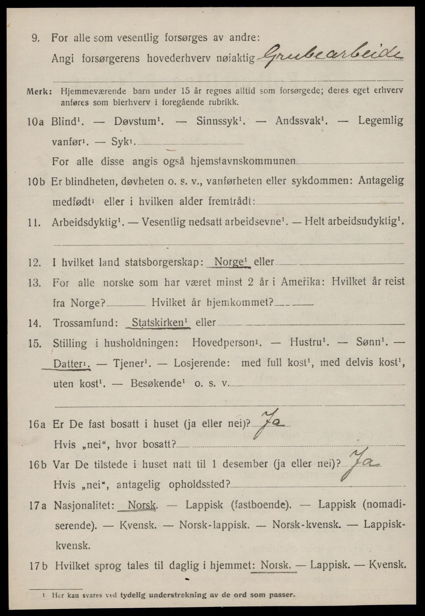 SAT, 1920 census for Røros, 1920, p. 8177