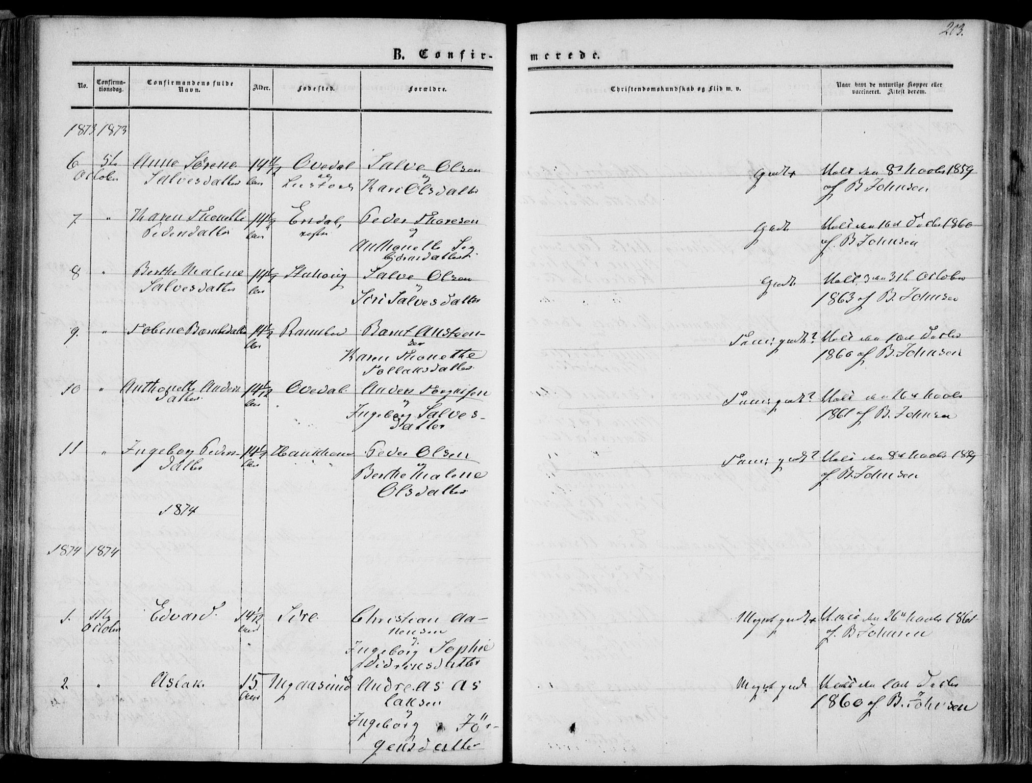 Bakke sokneprestkontor, SAK/1111-0002/F/Fa/Faa/L0006: Parish register (official) no. A 6, 1855-1877, p. 203