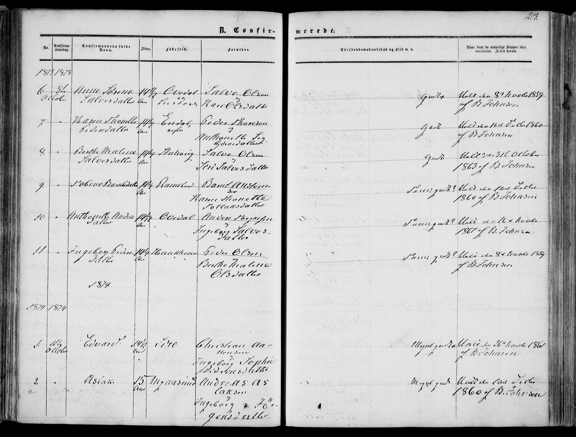 Bakke sokneprestkontor, AV/SAK-1111-0002/F/Fa/Faa/L0006: Parish register (official) no. A 6, 1855-1877, p. 203