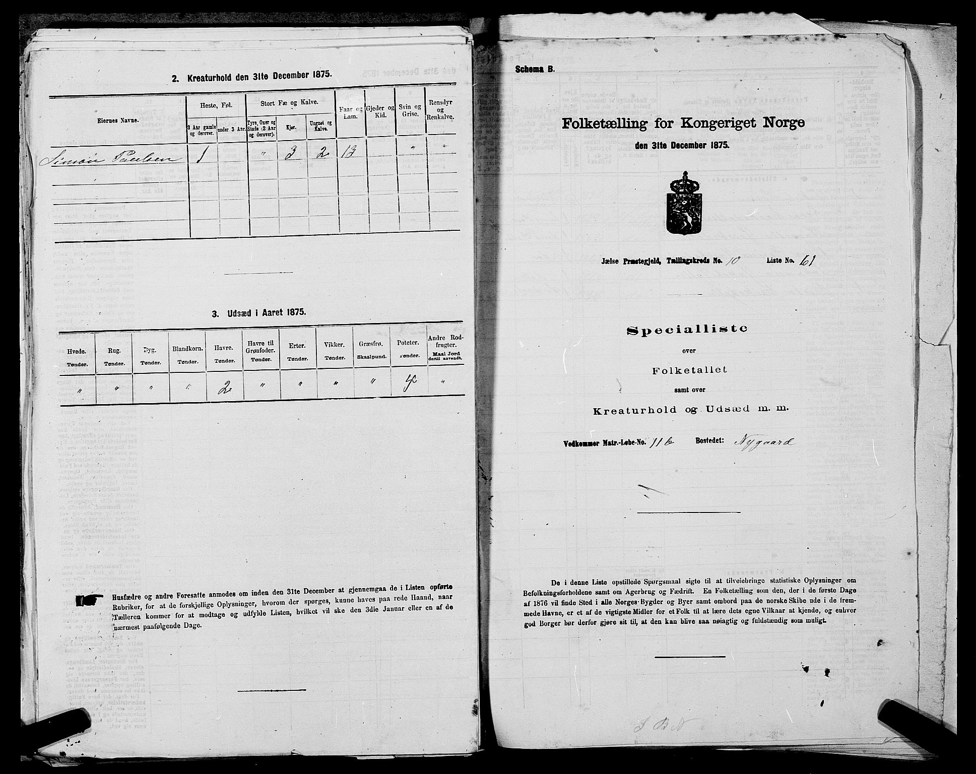 SAST, 1875 census for 1138P Jelsa, 1875, p. 969