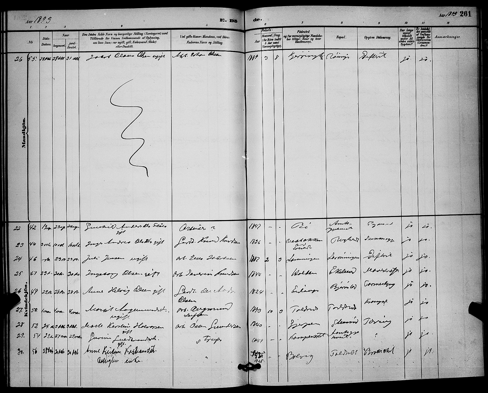 Solum kirkebøker, SAKO/A-306/G/Ga/L0007: Parish register (copy) no. I 7, 1884-1898, p. 261
