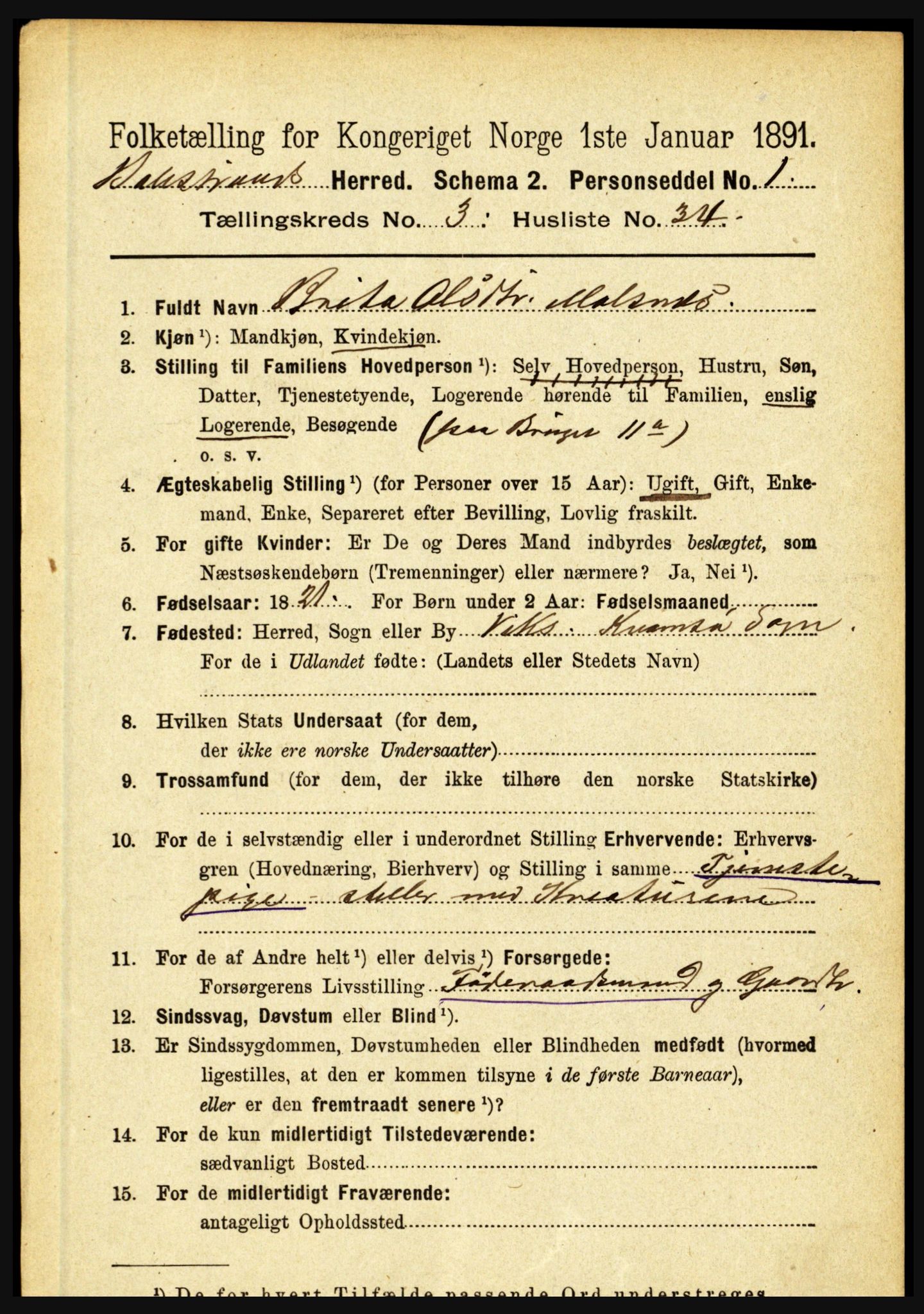 RA, 1891 census for 1418 Balestrand, 1891, p. 800