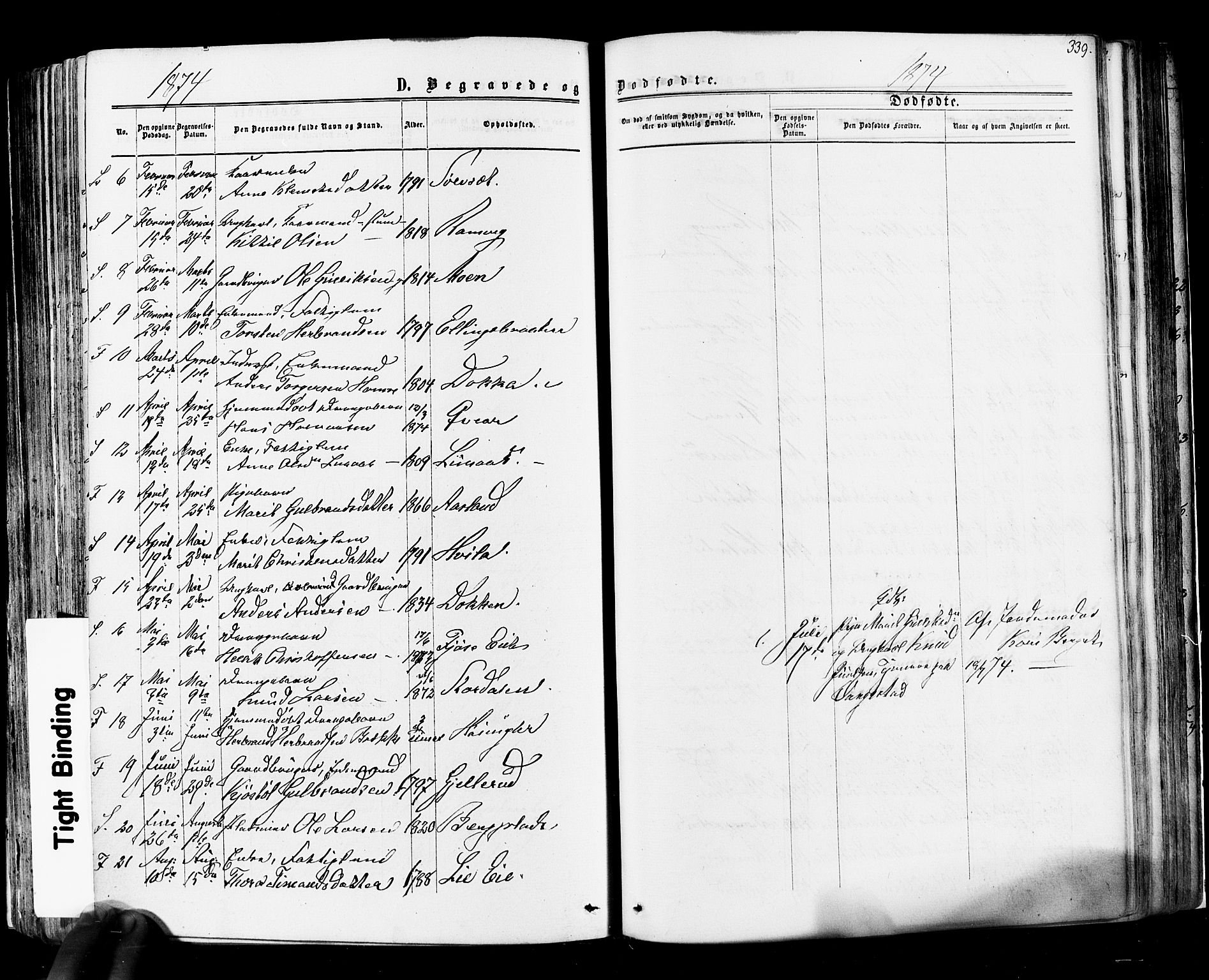 Flesberg kirkebøker, SAKO/A-18/F/Fa/L0007: Parish register (official) no. I 7, 1861-1878, p. 339