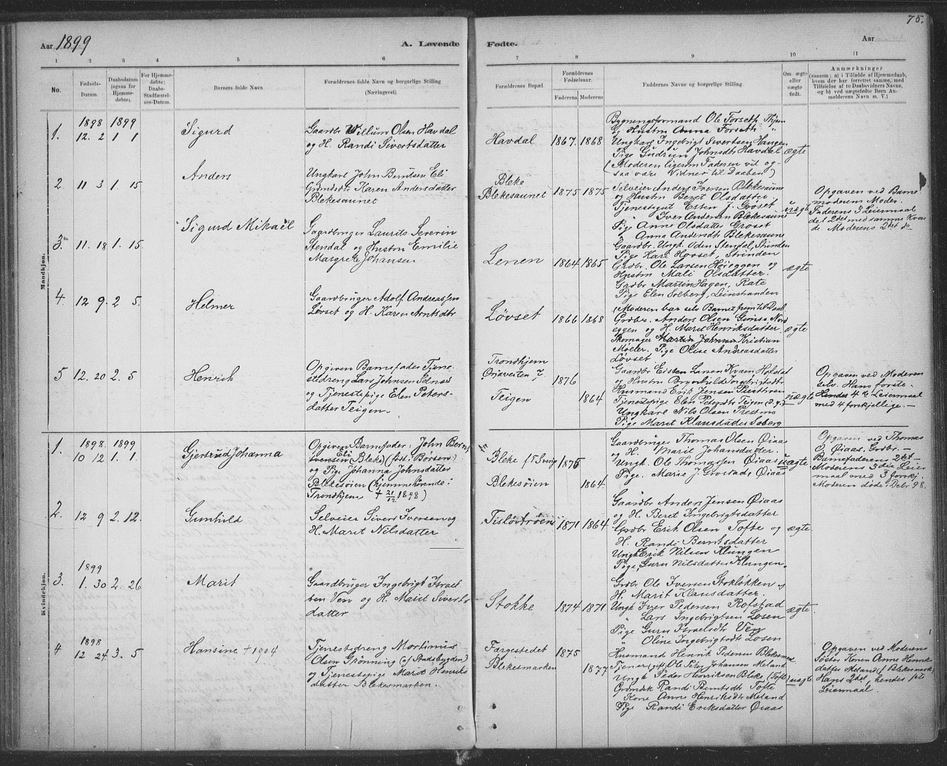 Ministerialprotokoller, klokkerbøker og fødselsregistre - Sør-Trøndelag, AV/SAT-A-1456/691/L1085: Parish register (official) no. 691A17, 1887-1908, p. 75