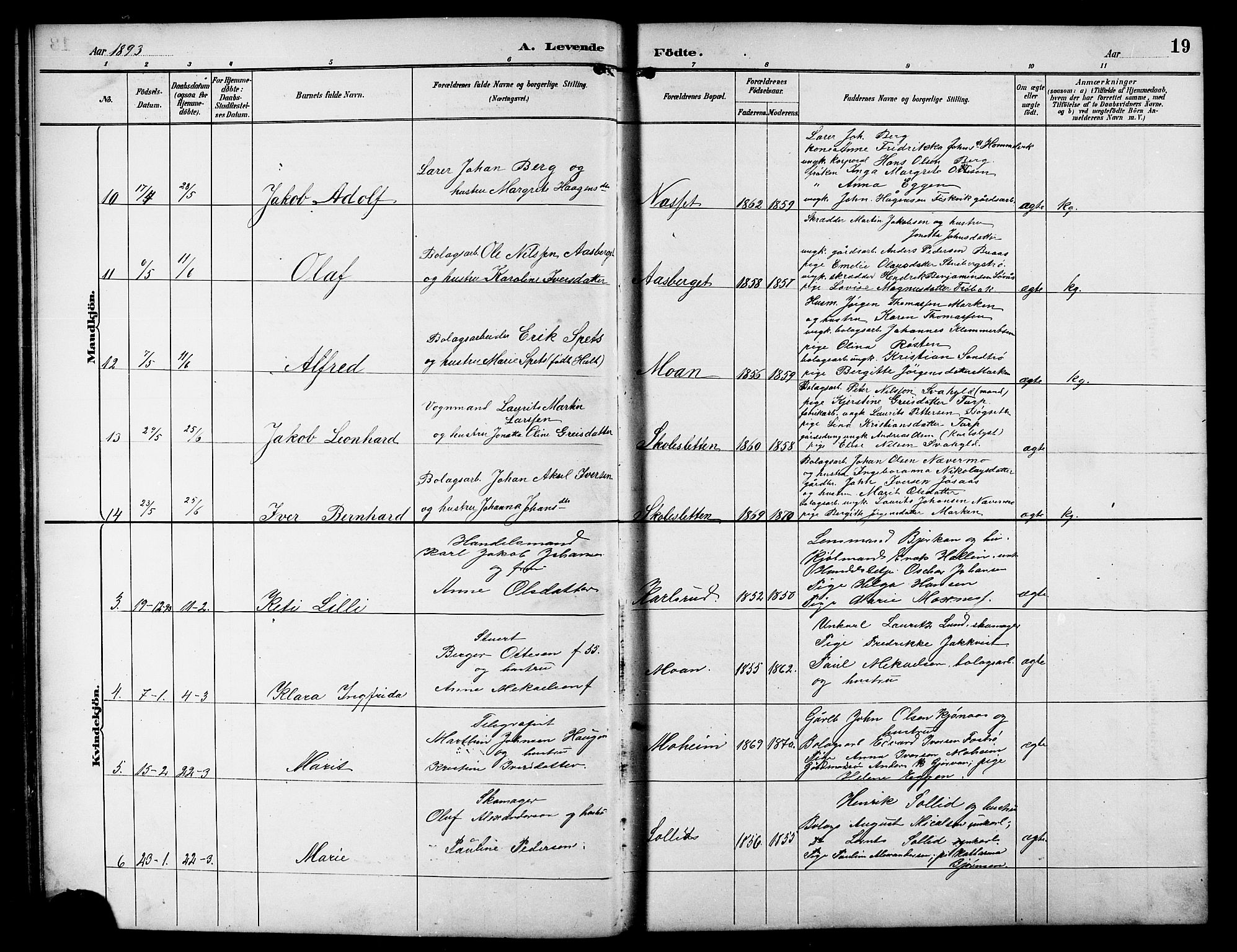 Ministerialprotokoller, klokkerbøker og fødselsregistre - Sør-Trøndelag, AV/SAT-A-1456/617/L0431: Parish register (copy) no. 617C01, 1889-1910, p. 19