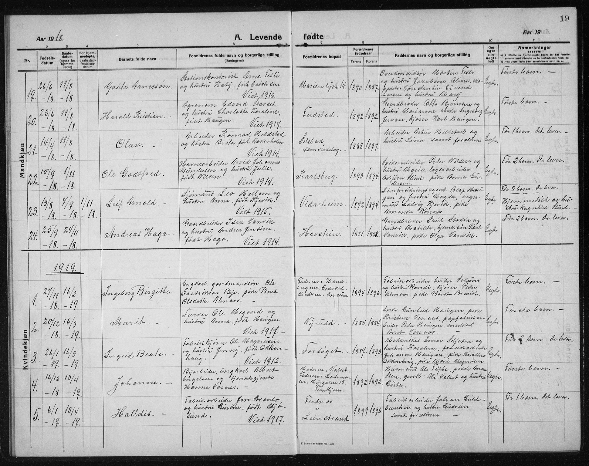 Ministerialprotokoller, klokkerbøker og fødselsregistre - Sør-Trøndelag, SAT/A-1456/611/L0356: Parish register (copy) no. 611C04, 1914-1938, p. 19