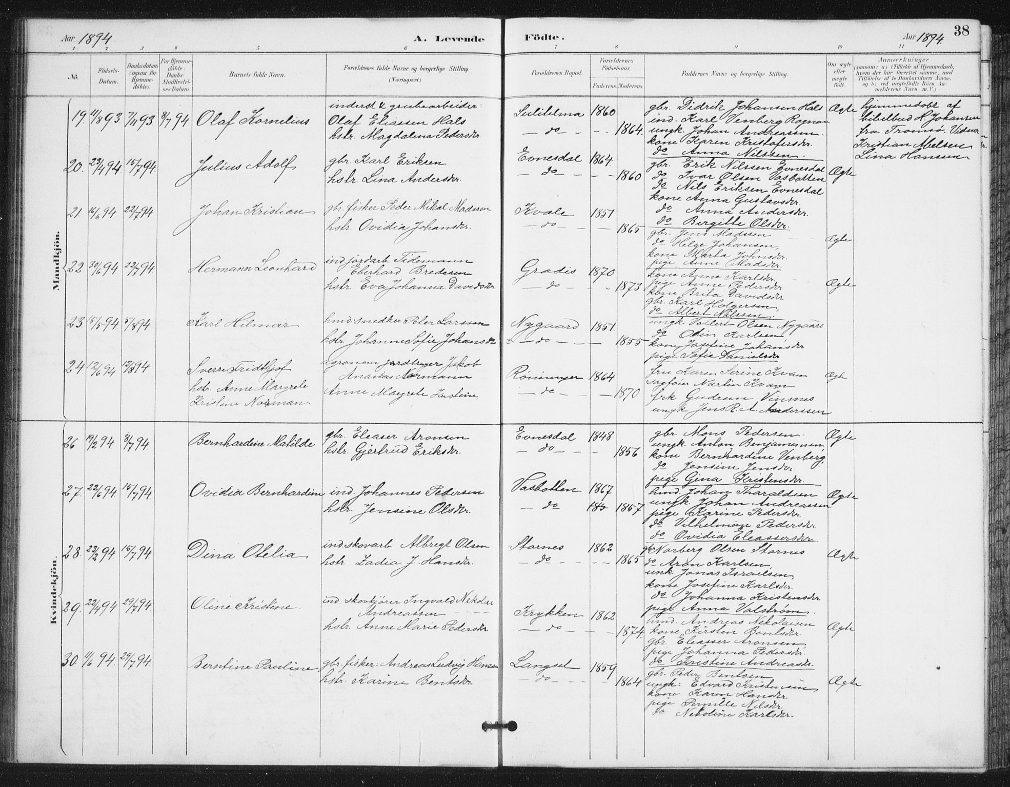 Ministerialprotokoller, klokkerbøker og fødselsregistre - Nordland, AV/SAT-A-1459/847/L0682: Parish register (copy) no. 847C10, 1889-1907, p. 38