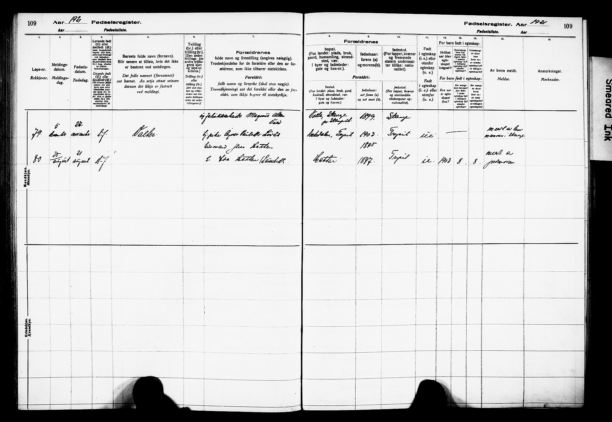 Trysil prestekontor, AV/SAH-PREST-046/I/Id/Ida/L0001: Birth register no. I 1, 1916-1927, p. 109