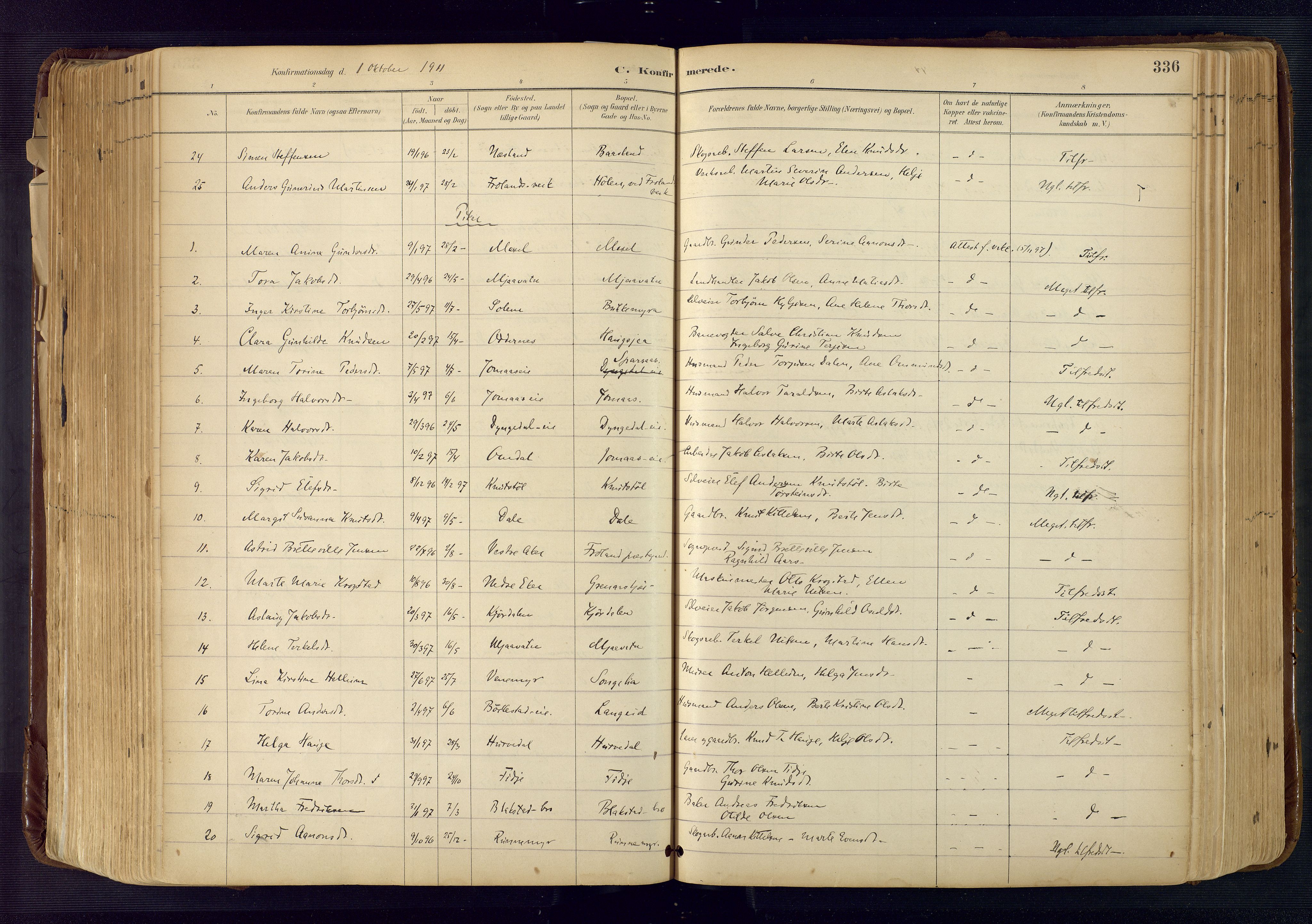Froland sokneprestkontor, SAK/1111-0013/F/Fa/L0005: Parish register (official) no. A 5, 1882-1921, p. 336