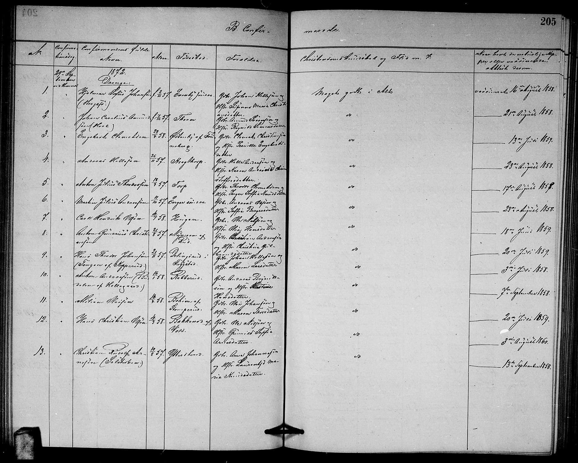 Høland prestekontor Kirkebøker, SAO/A-10346a/G/Ga/L0006: Parish register (copy) no. I 6, 1869-1879, p. 205