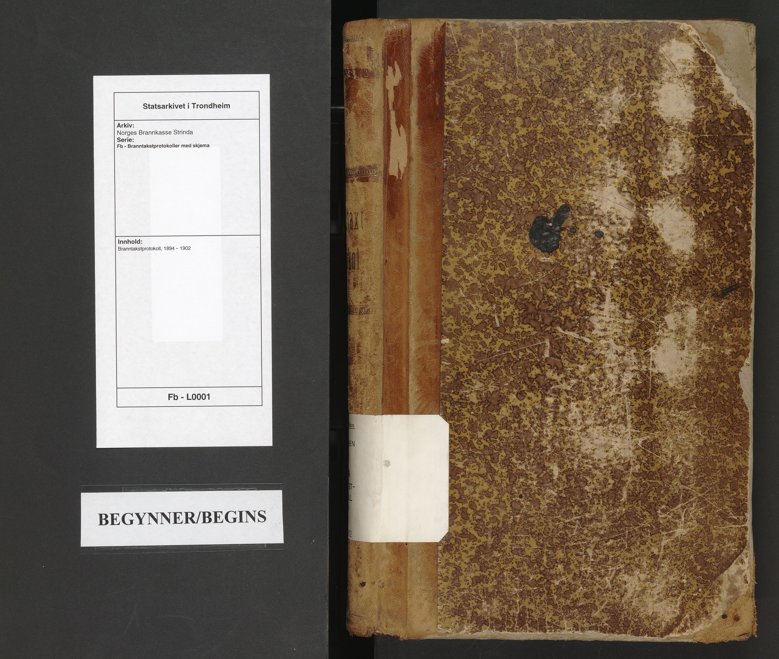 Norges Brannkasse Strinda, AV/SAT-A-5516/Fb/L0001: Branntakstprotokoll, 1894-1902