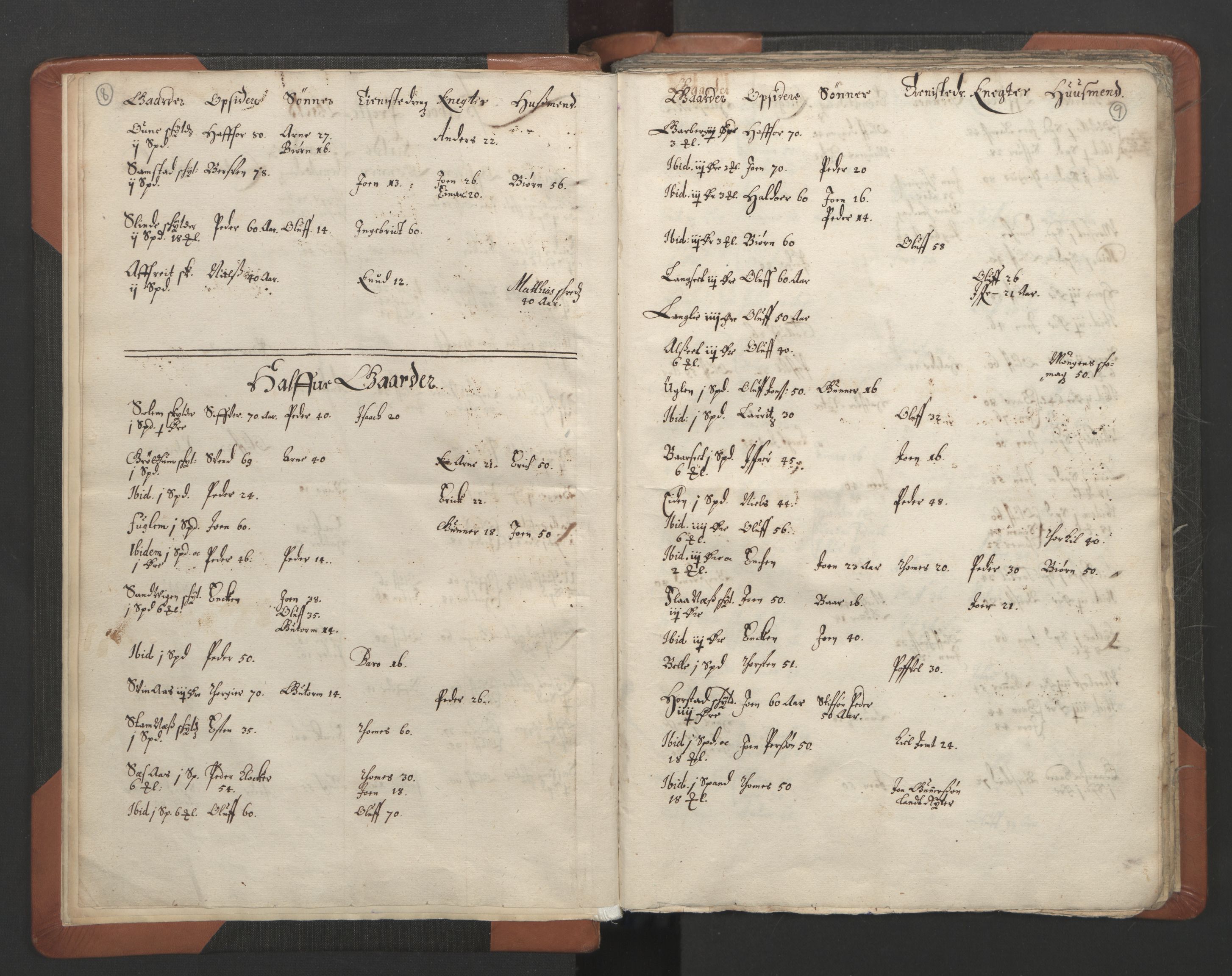 RA, Vicar's Census 1664-1666, no. 32: Innherad deanery, 1664-1666, p. 8-9