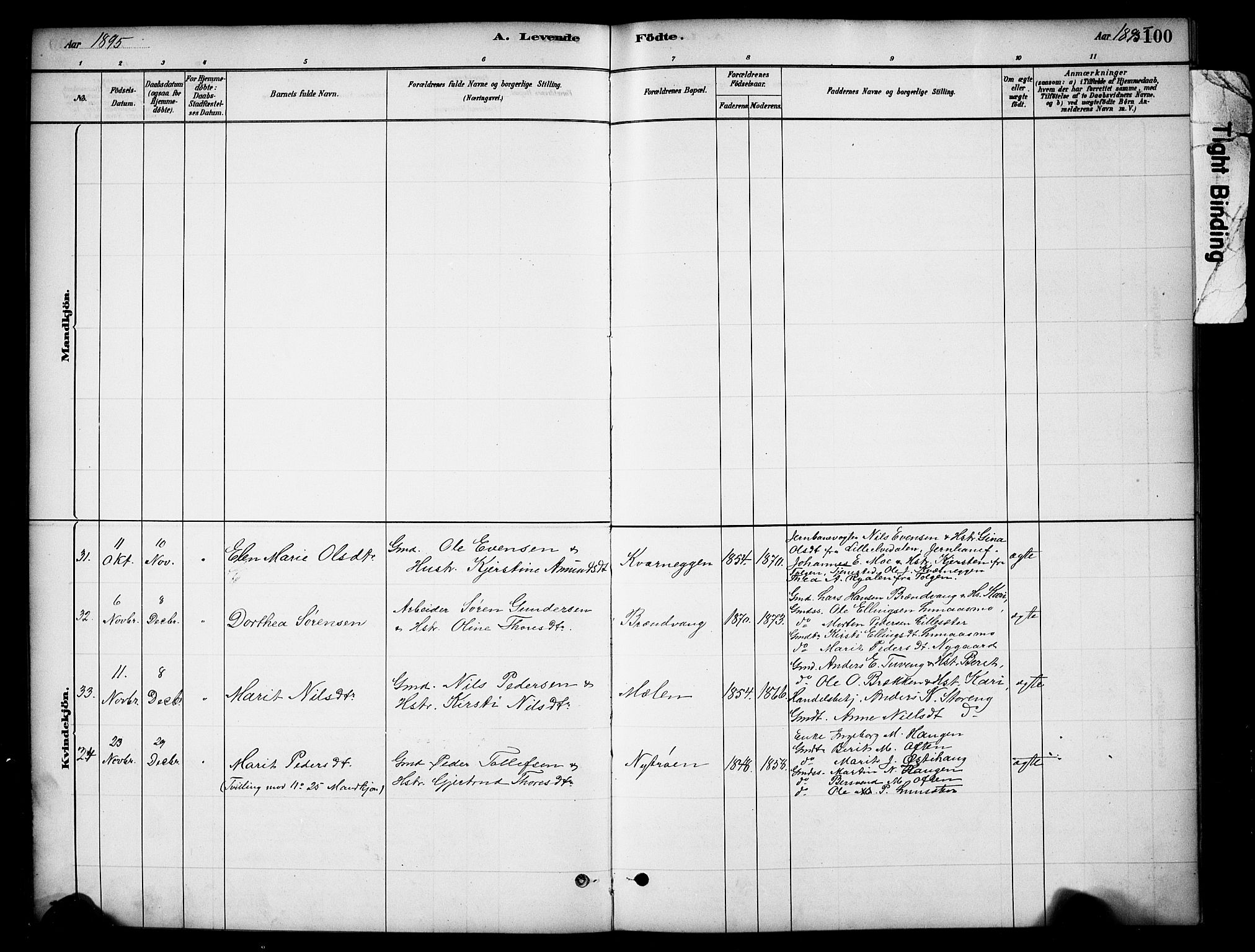 Tynset prestekontor, SAH/PREST-058/H/Ha/Hab/L0006: Parish register (copy) no. 6, 1880-1899, p. 100