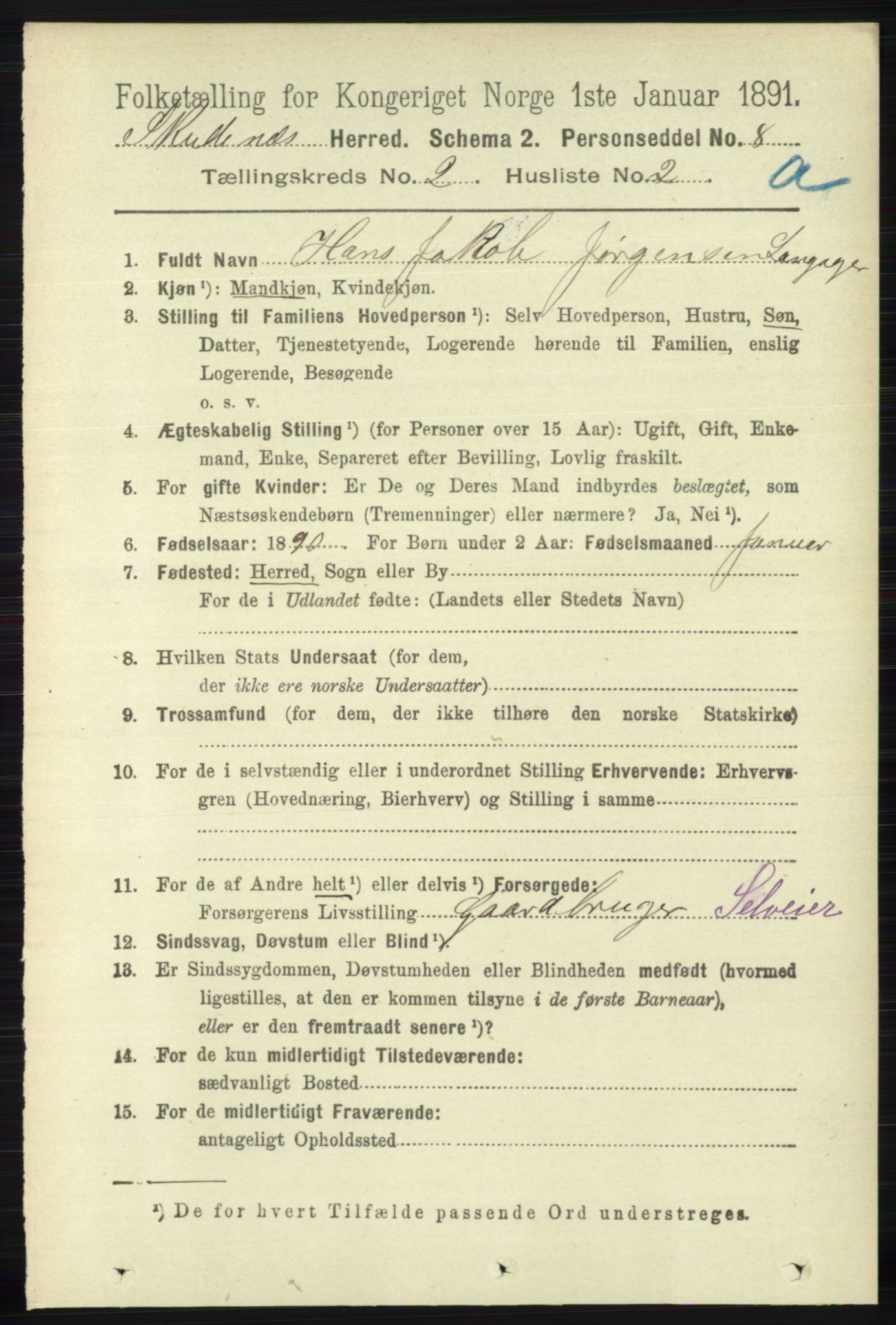 RA, 1891 census for 1150 Skudenes, 1891, p. 691