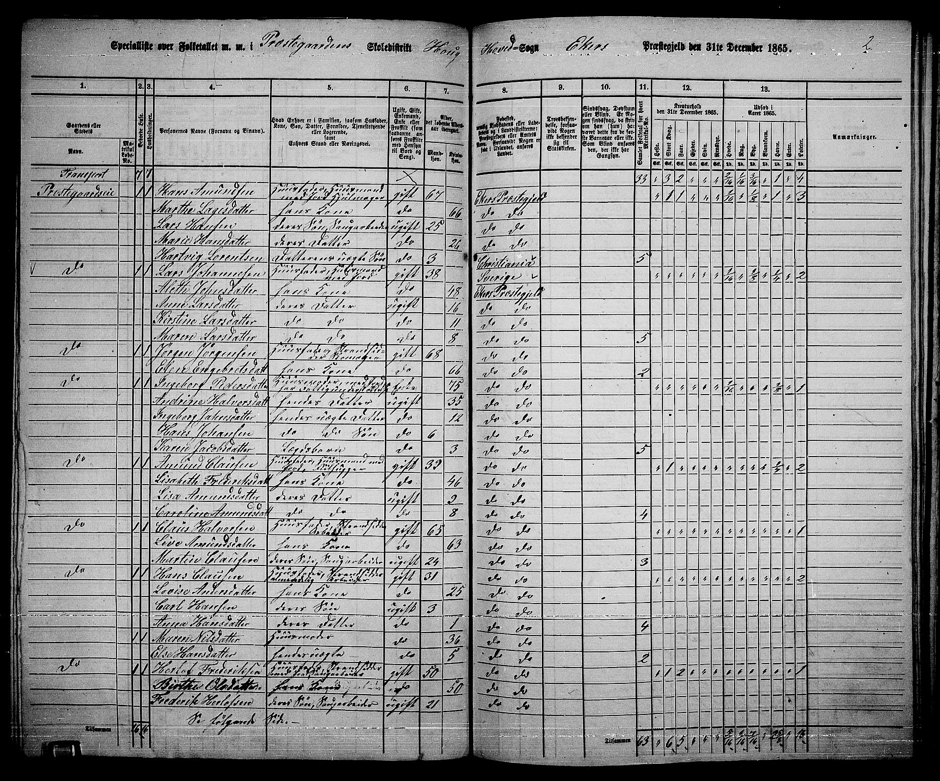 RA, 1865 census for Eiker, 1865, p. 187