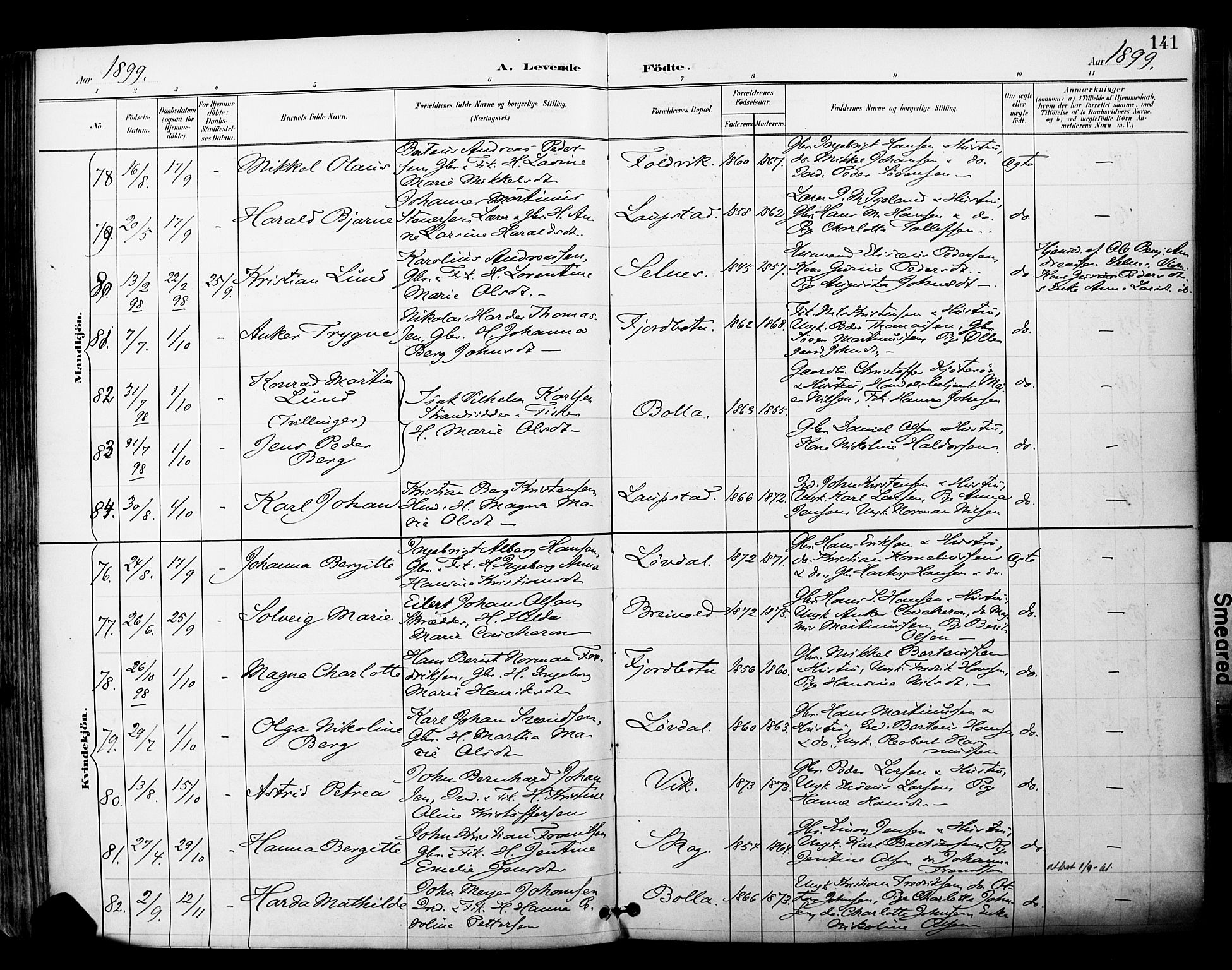 Ibestad sokneprestembete, SATØ/S-0077/H/Ha/Haa/L0012kirke: Parish register (official) no. 12, 1890-1900, p. 141