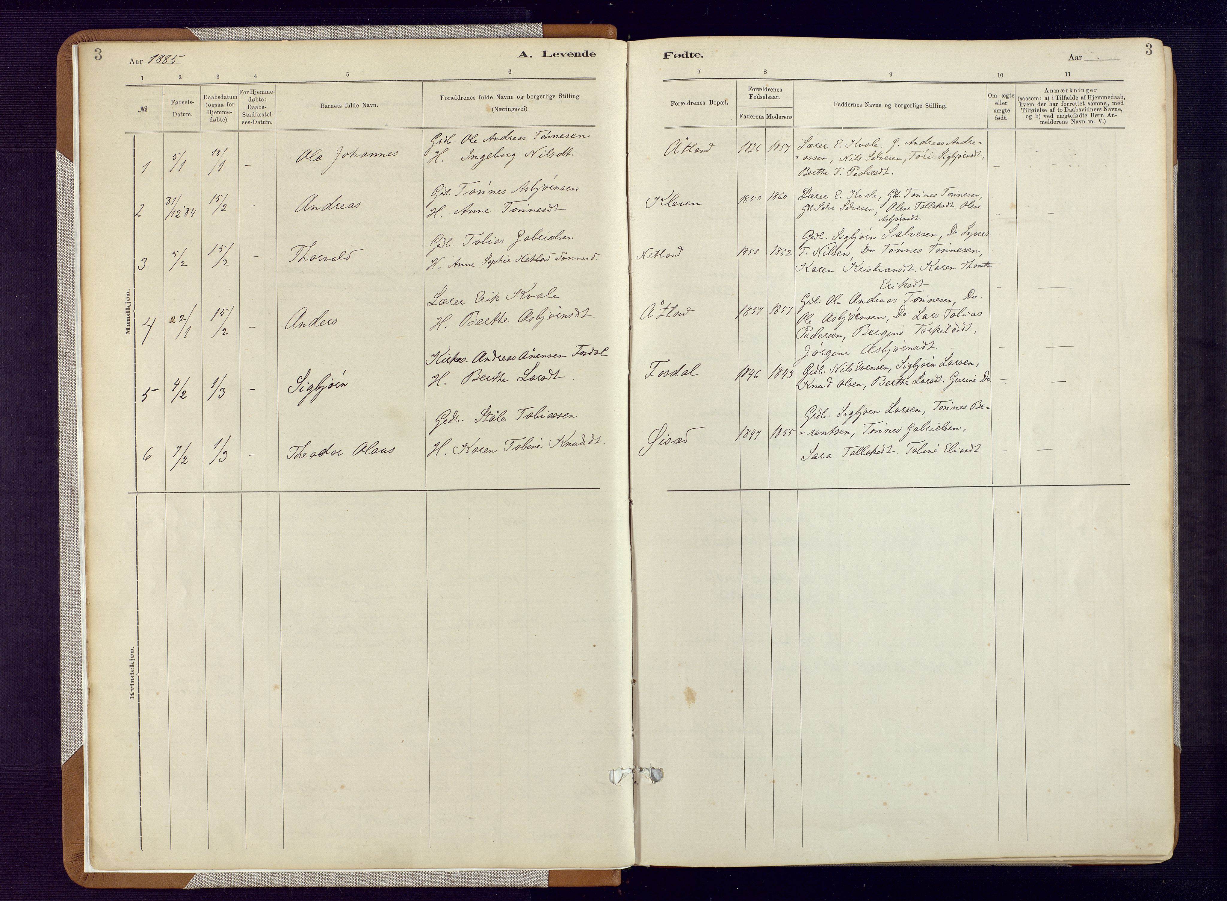 Bakke sokneprestkontor, SAK/1111-0002/F/Fa/Fab/L0003: Parish register (official) no. A 3, 1884-1921, p. 3