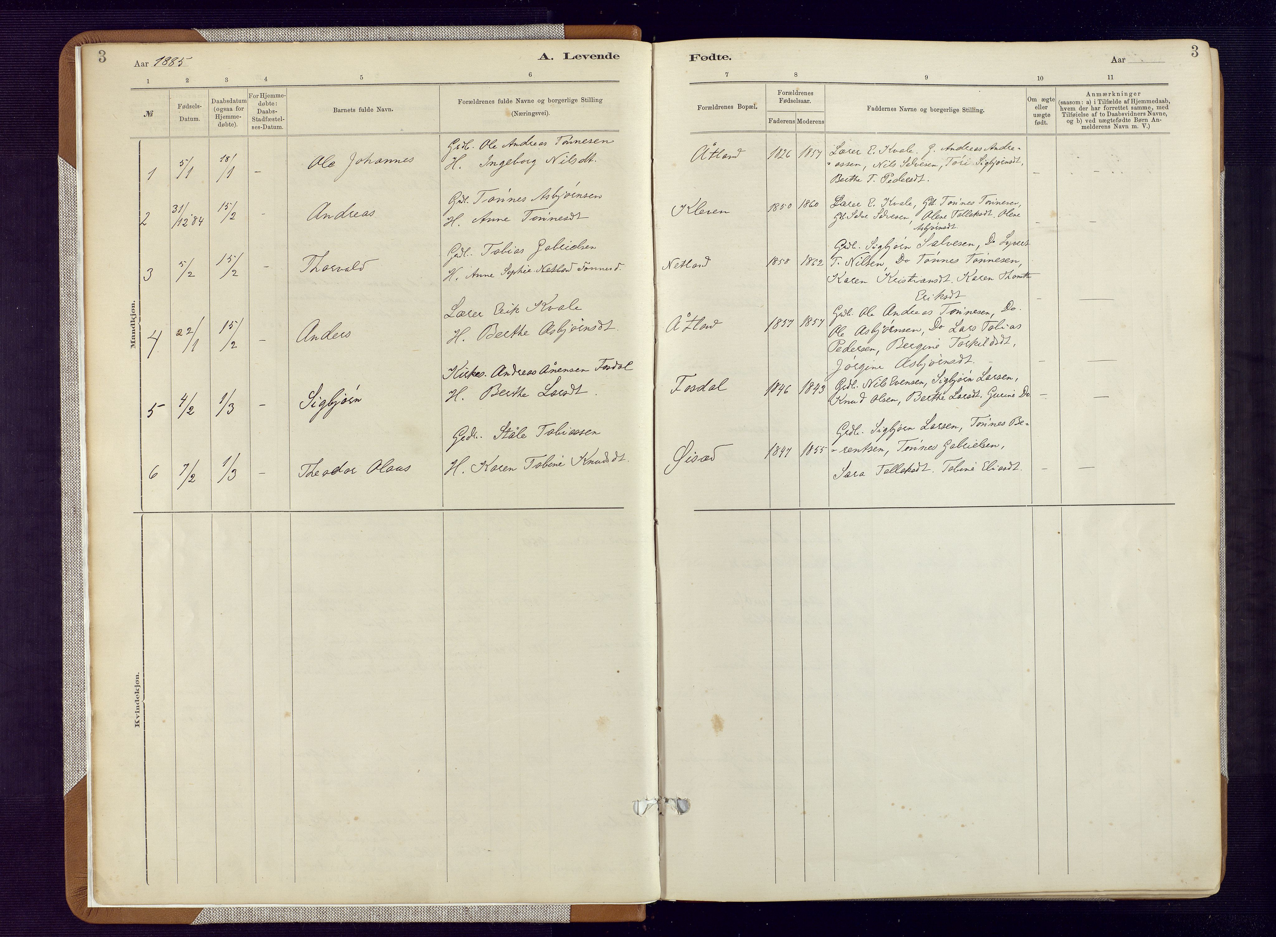 Bakke sokneprestkontor, AV/SAK-1111-0002/F/Fa/Fab/L0003: Parish register (official) no. A 3, 1884-1921, p. 3