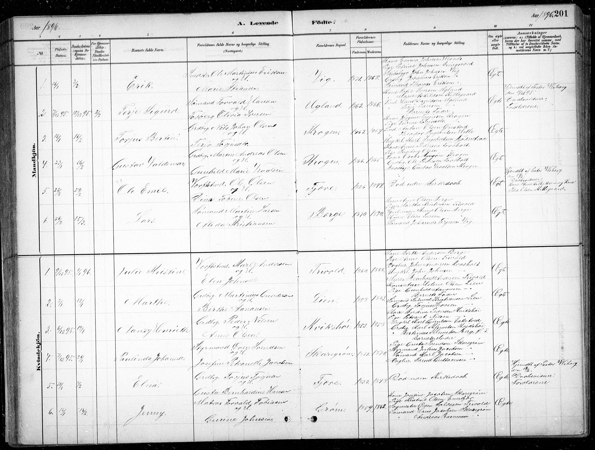 Fjære sokneprestkontor, AV/SAK-1111-0011/F/Fb/L0011: Parish register (copy) no. B 11, 1881-1905, p. 201