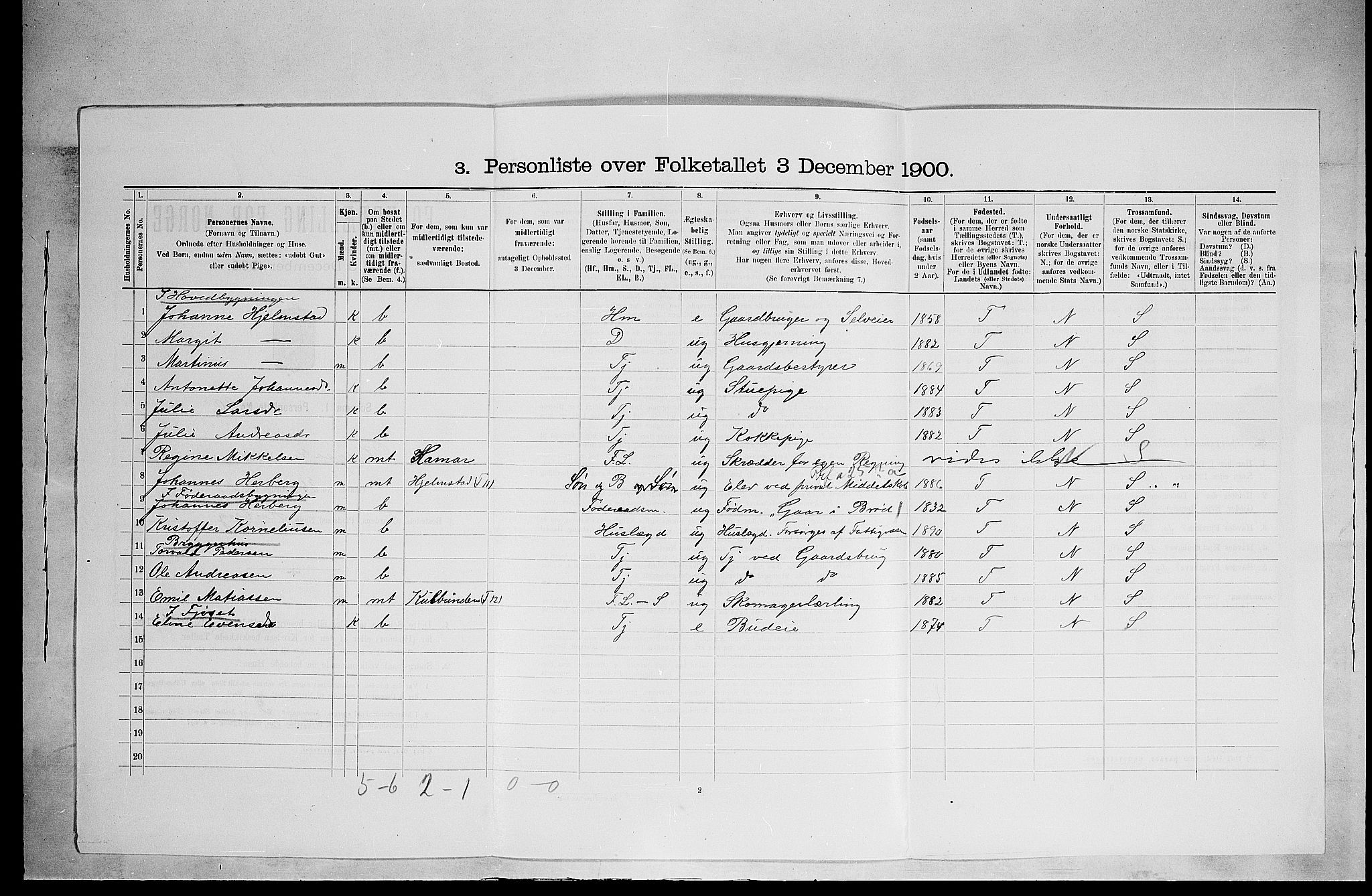 SAH, 1900 census for Ringsaker, 1900, p. 2863