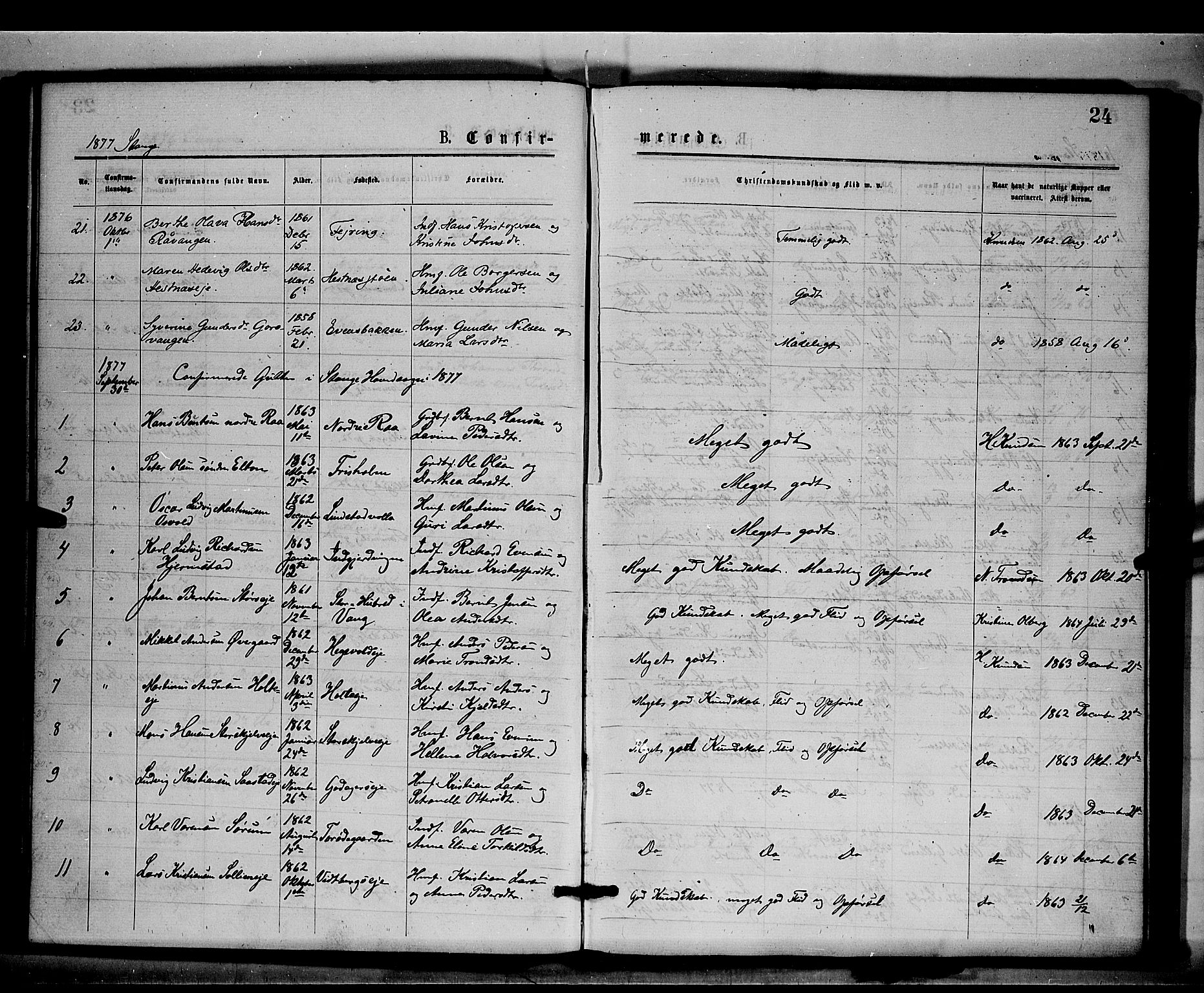 Stange prestekontor, SAH/PREST-002/K/L0016: Parish register (official) no. 16, 1874-1879, p. 24