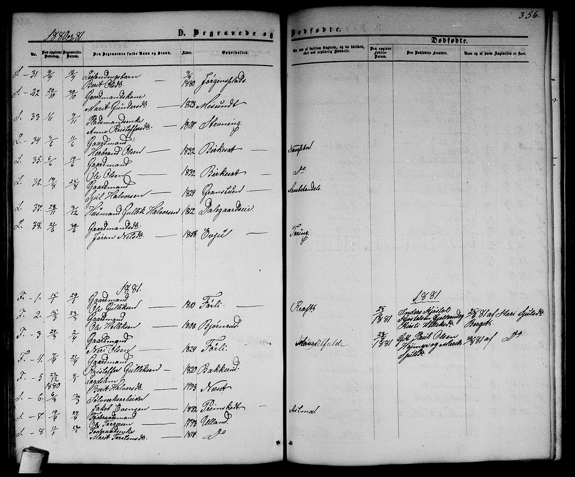 Flesberg kirkebøker, SAKO/A-18/G/Ga/L0003: Parish register (copy) no. I 3, 1861-1889, p. 356