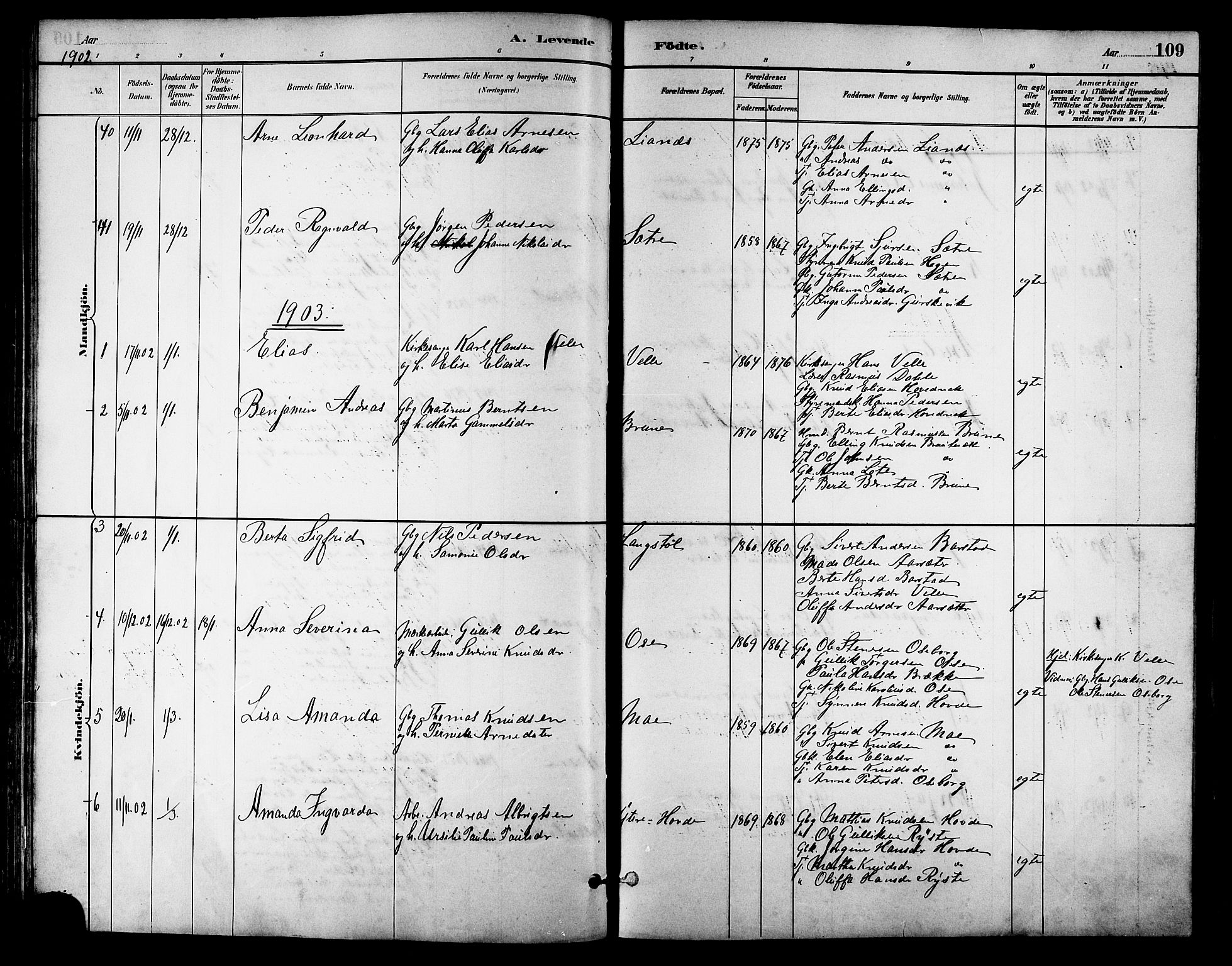 Ministerialprotokoller, klokkerbøker og fødselsregistre - Møre og Romsdal, AV/SAT-A-1454/513/L0189: Parish register (copy) no. 513C03, 1883-1904, p. 109