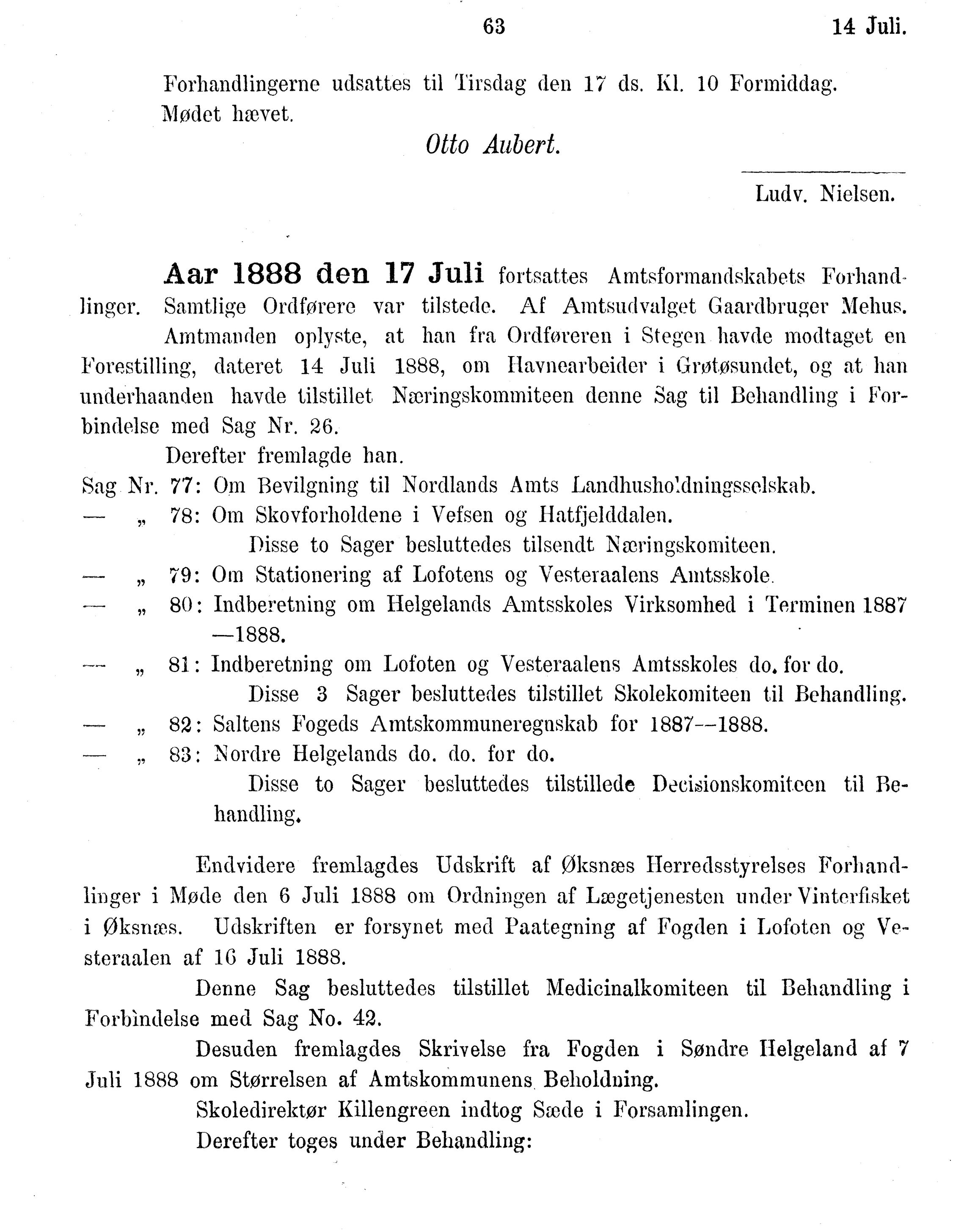 Nordland Fylkeskommune. Fylkestinget, AIN/NFK-17/176/A/Ac/L0015: Fylkestingsforhandlinger 1886-1890, 1886-1890, p. 63