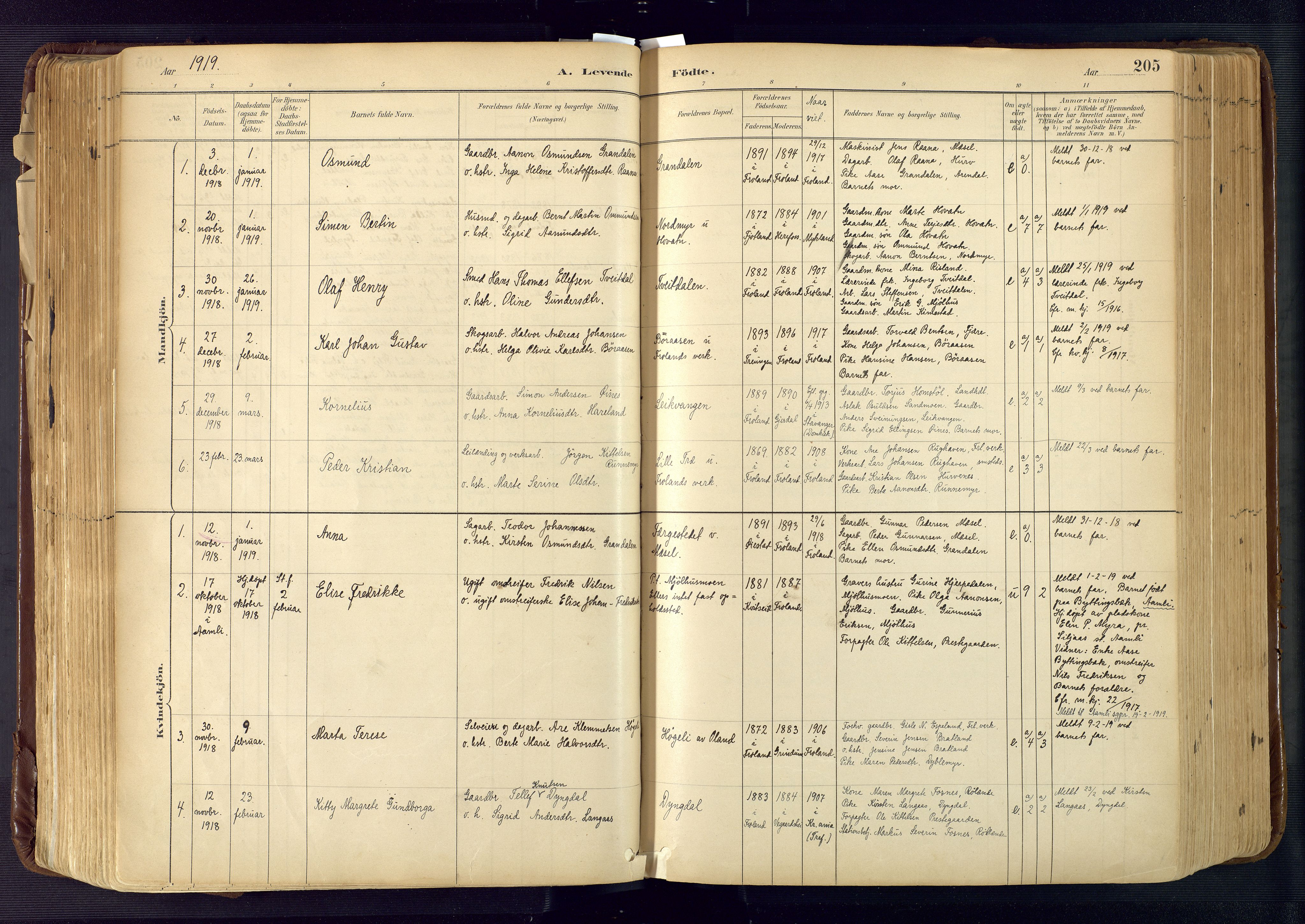 Froland sokneprestkontor, AV/SAK-1111-0013/F/Fa/L0005: Parish register (official) no. A 5, 1882-1921, p. 205