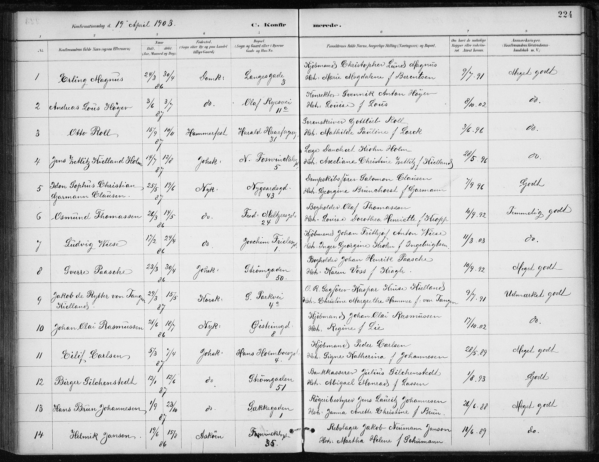 Johanneskirken sokneprestembete, SAB/A-76001/H/Haa/L0008: Parish register (official) no. C 1, 1885-1907, p. 224