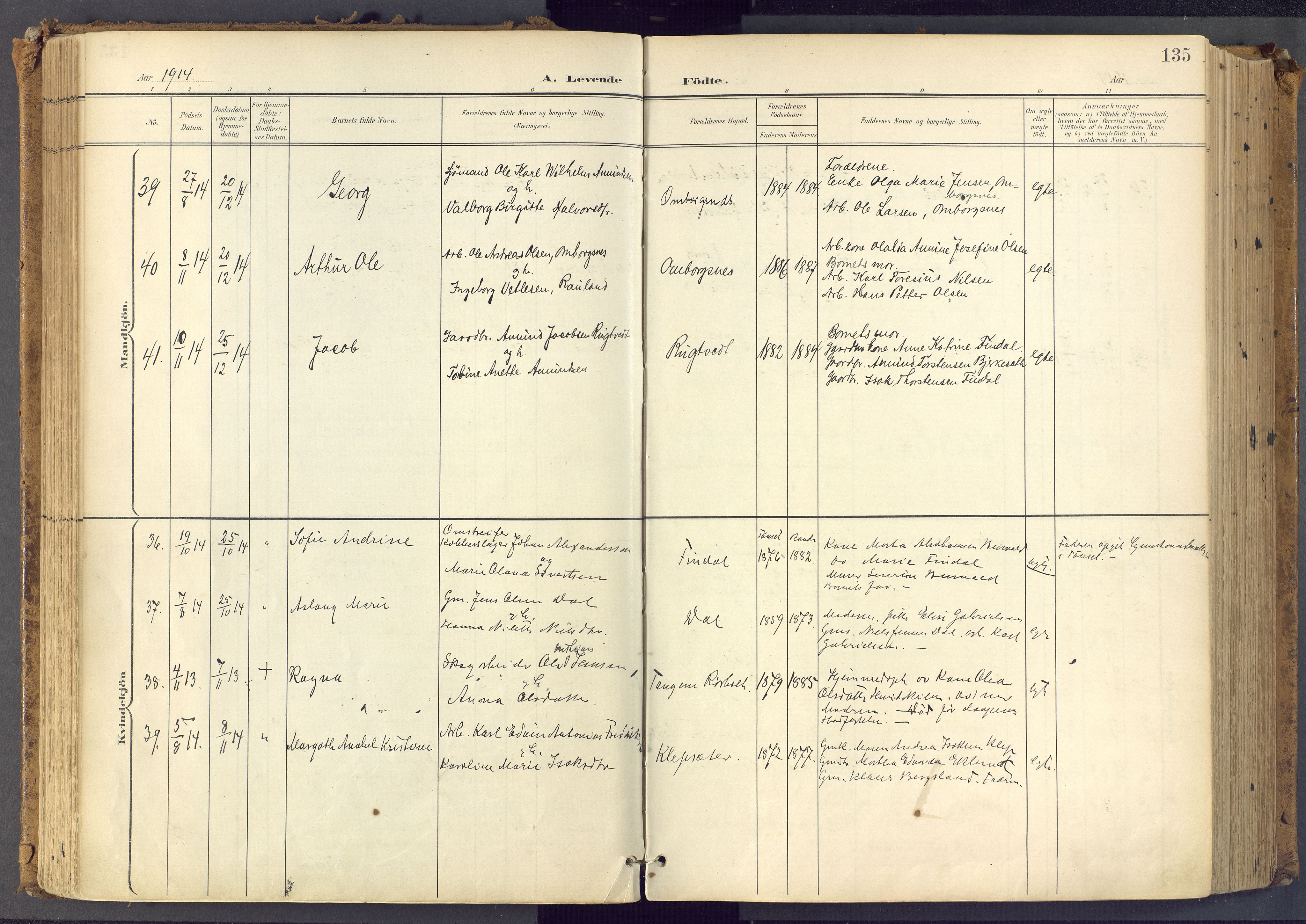 Bamble kirkebøker, SAKO/A-253/F/Fa/L0009: Parish register (official) no. I 9, 1901-1917, p. 135