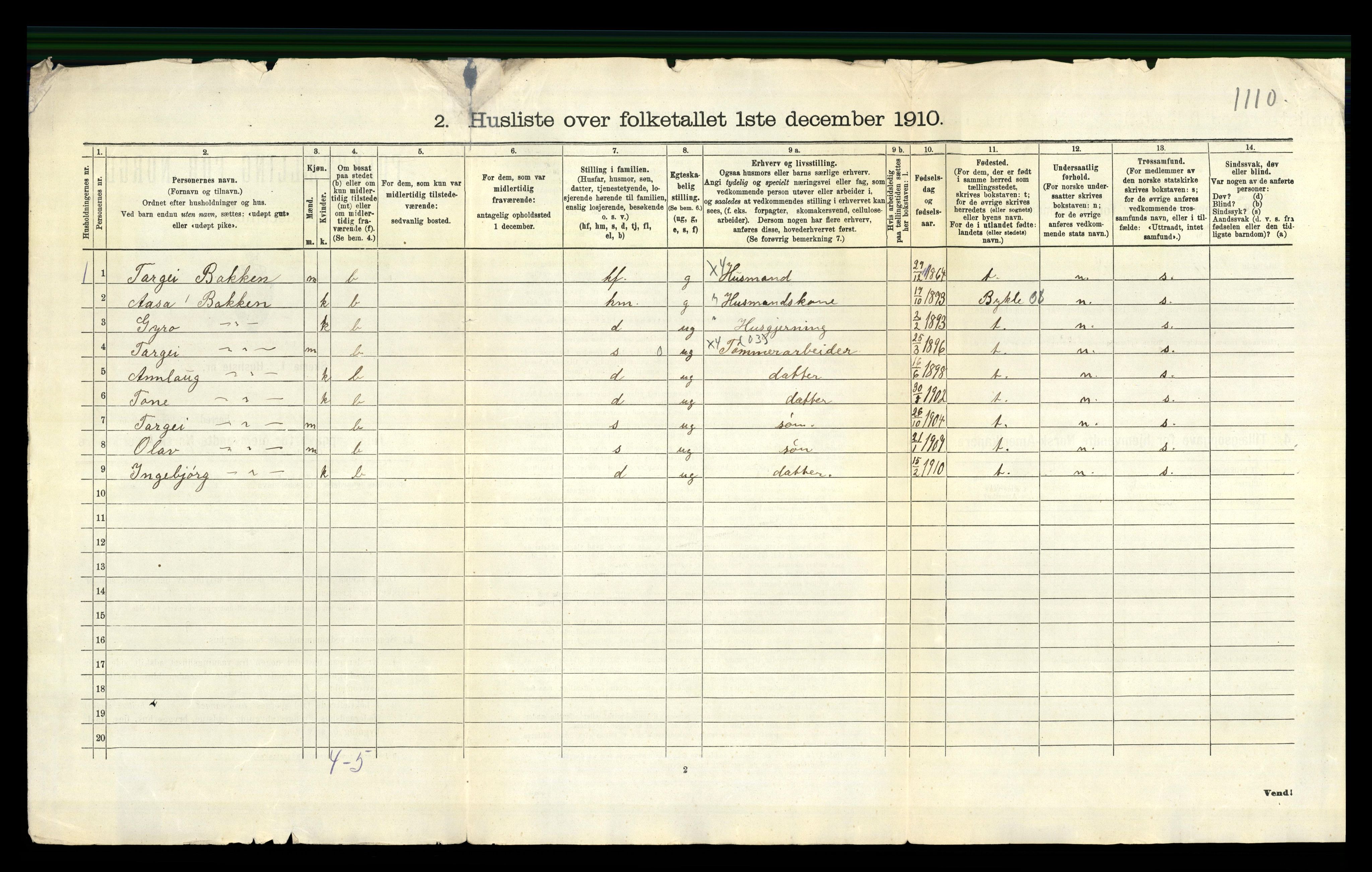 RA, 1910 census for Valle, 1910, p. 30