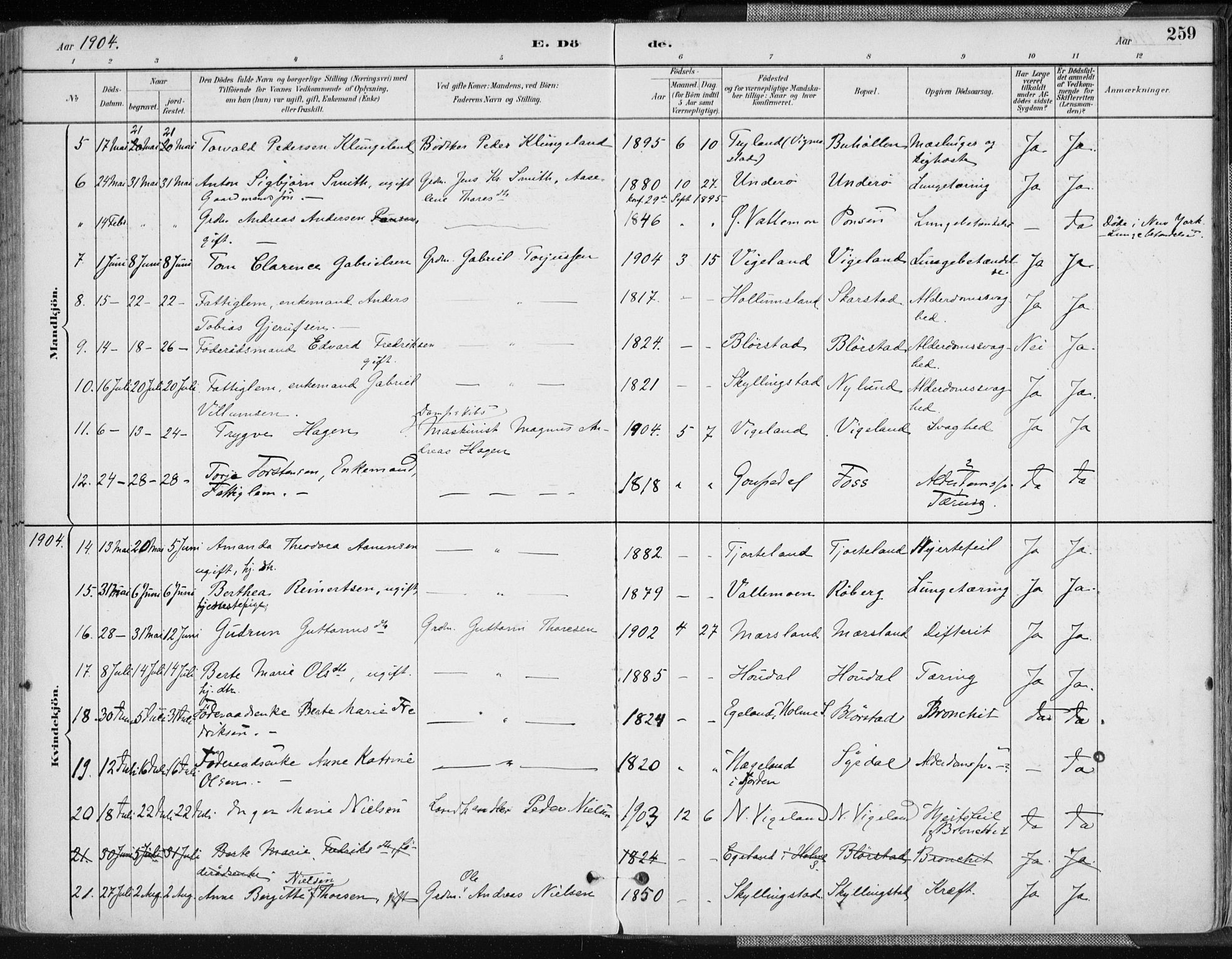 Sør-Audnedal sokneprestkontor, AV/SAK-1111-0039/F/Fa/Fab/L0010: Parish register (official) no. A 10, 1892-1913, p. 259