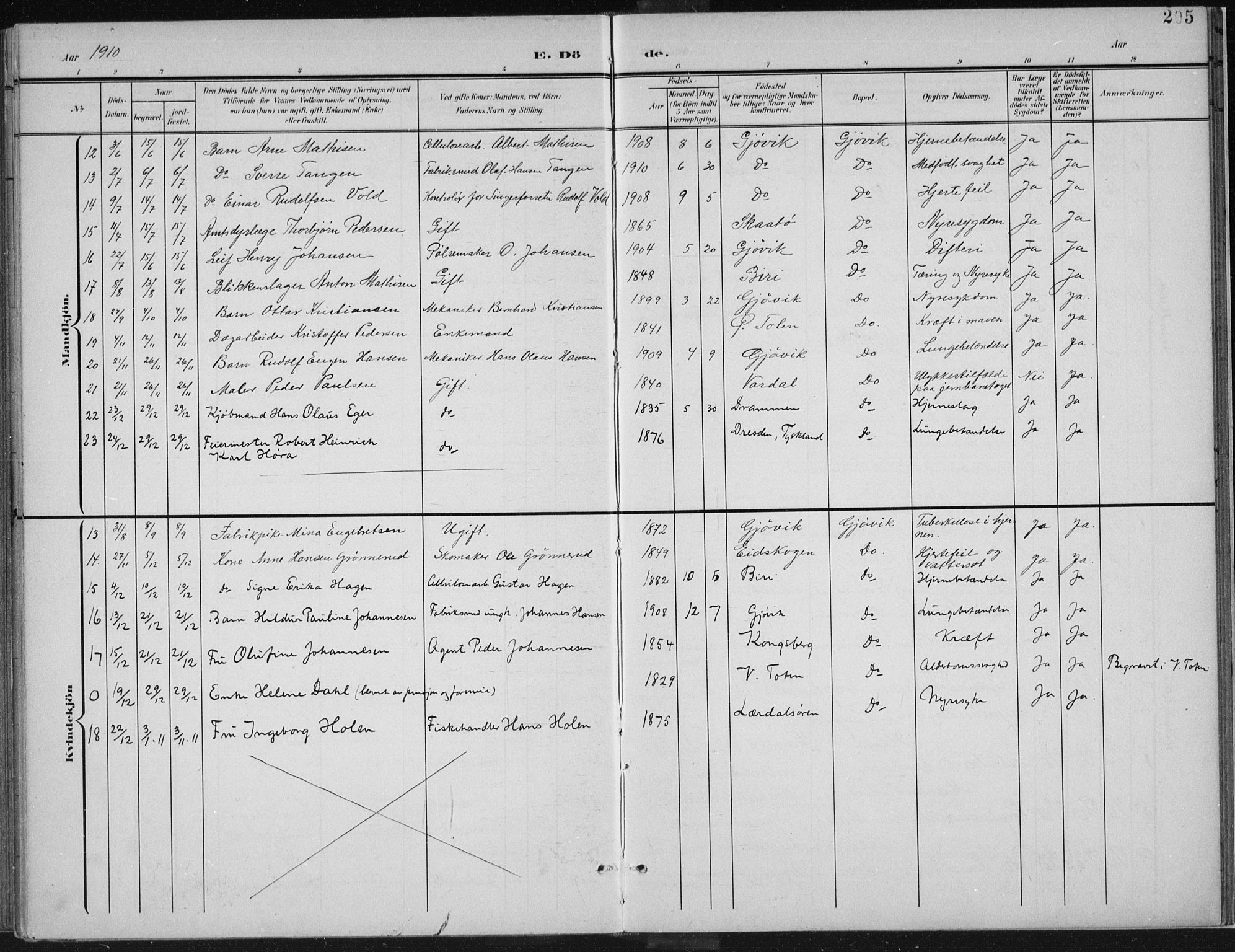 Vardal prestekontor, SAH/PREST-100/H/Ha/Haa/L0013: Parish register (official) no. 13, 1901-1911, p. 205