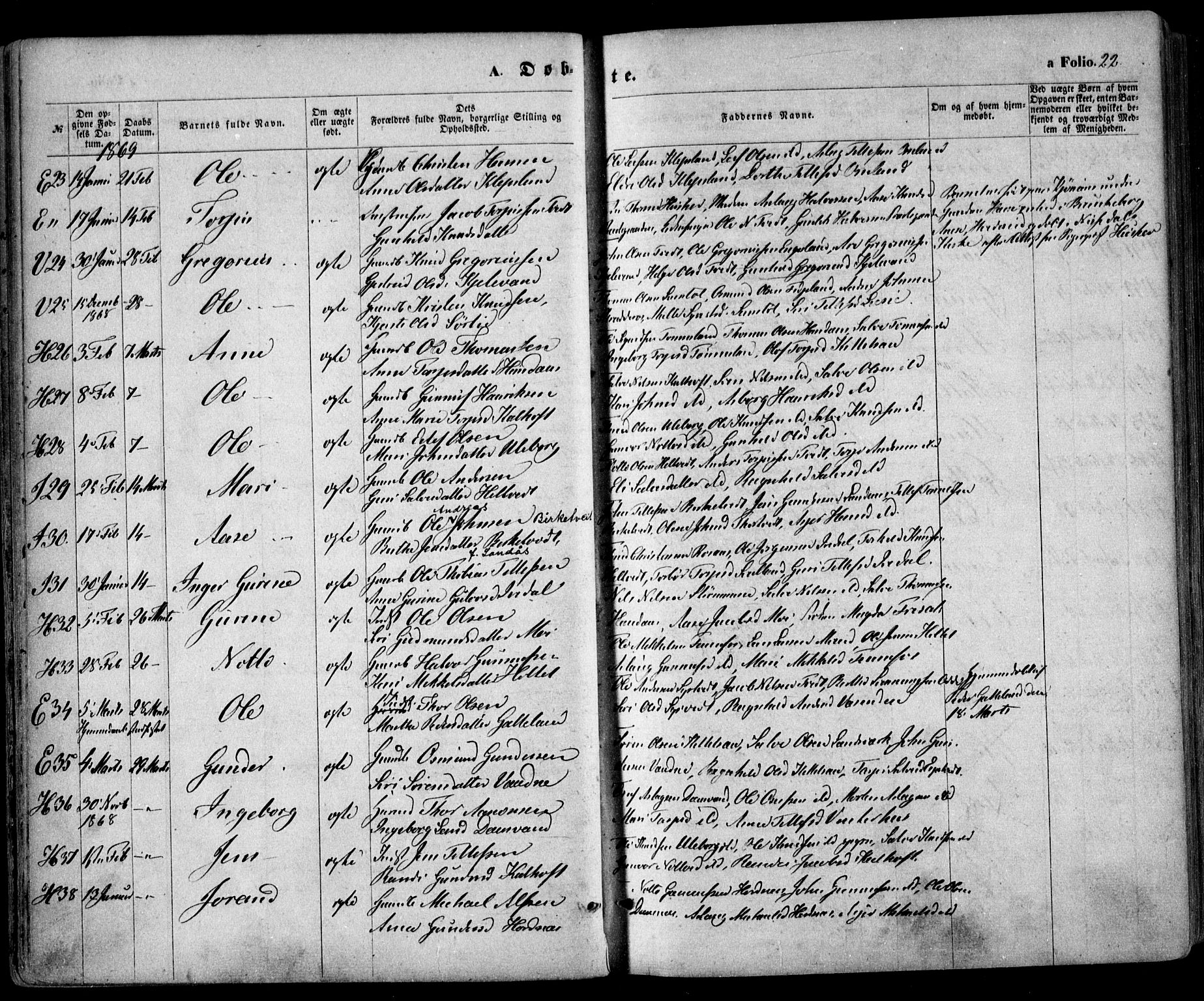 Evje sokneprestkontor, AV/SAK-1111-0008/F/Fa/Faa/L0006: Parish register (official) no. A 6, 1866-1884, p. 22