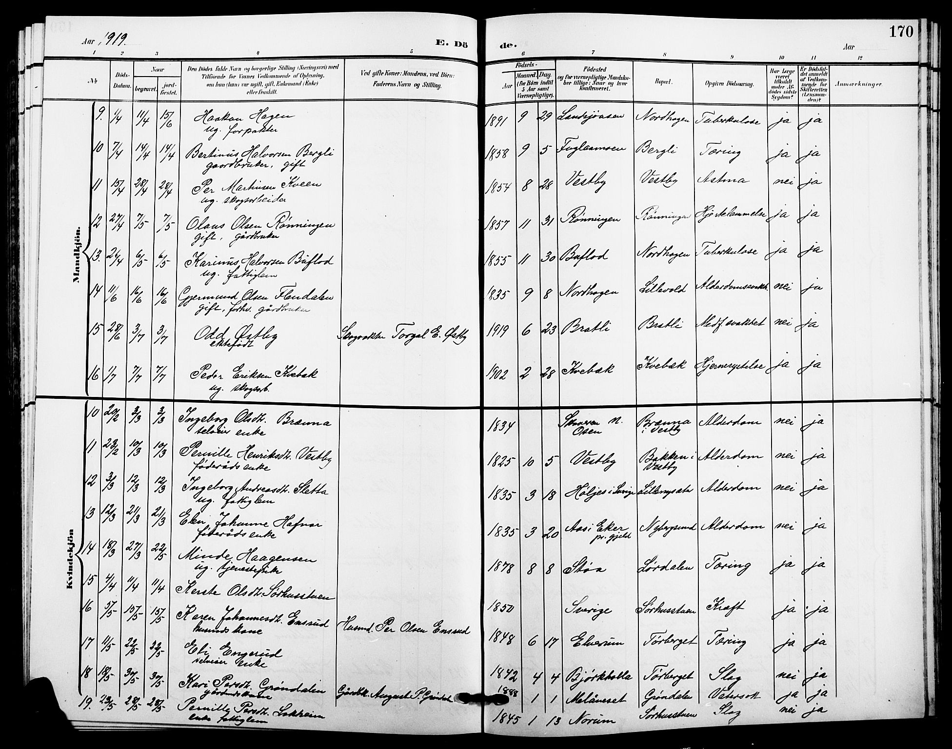 Trysil prestekontor, AV/SAH-PREST-046/H/Ha/Hab/L0009: Parish register (copy) no. 9, 1904-1924, p. 170