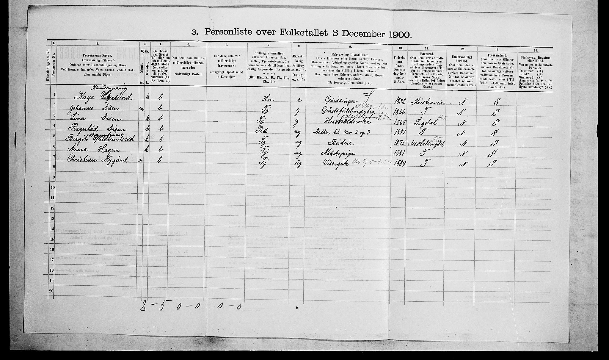 RA, 1900 census for Modum, 1900, p. 1996